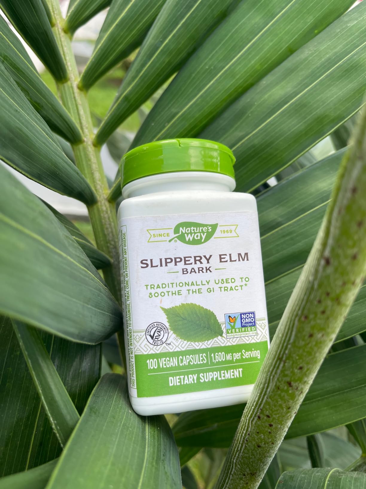 Nature's Way Slippery Elm Bark Capsules, Traditional Digestive Support to Soothe Gastrointestinal Tract, 1,600 mg per 4-Capsule Serving, Vegan, 100 Capsules customer photo 2