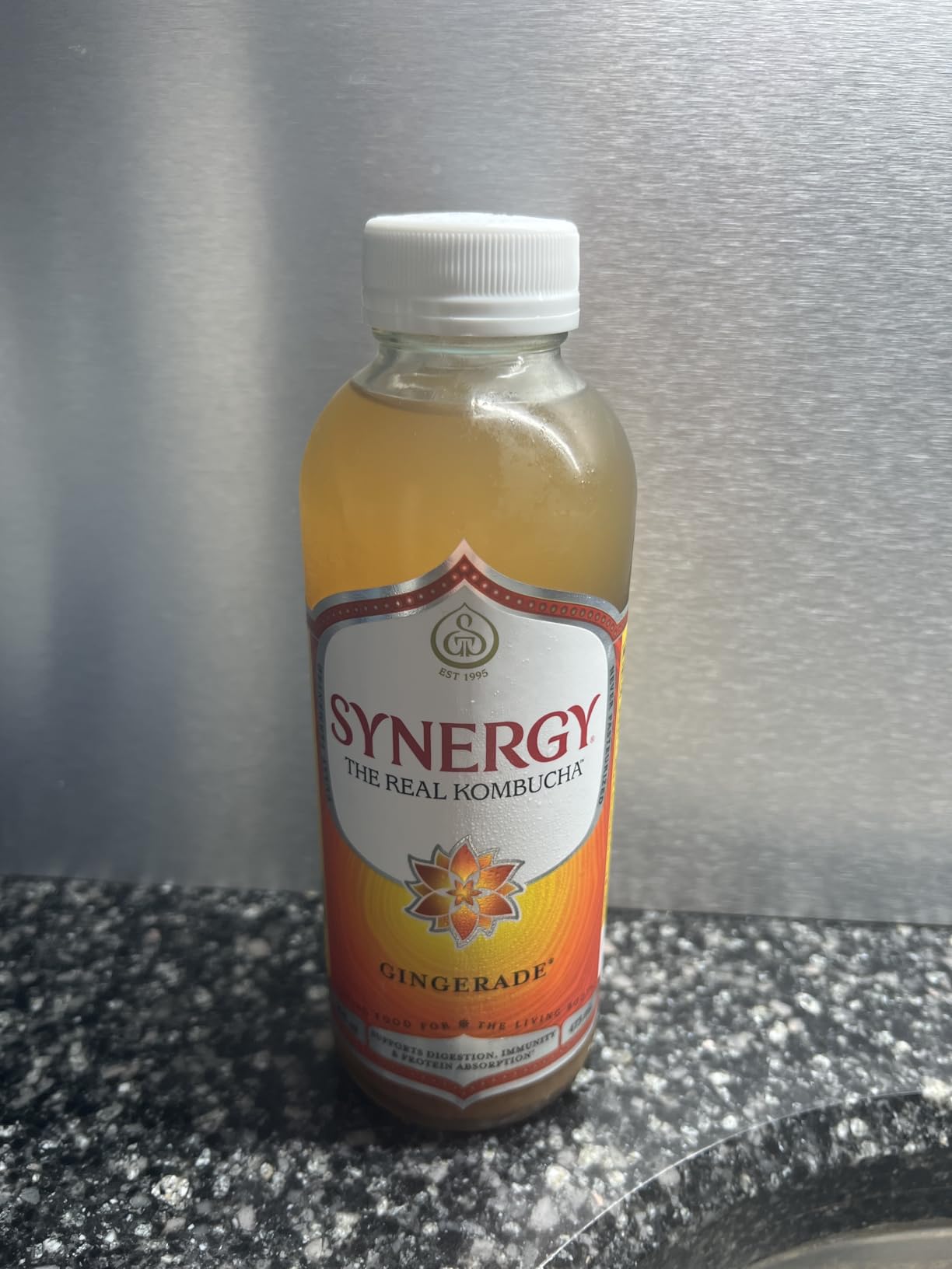 SYNERGY The Real Kombucha - Gingerade - 16 fl oz Bottle - Raw Probiotic Drink for Gut Health and Immune Support customer photo 2