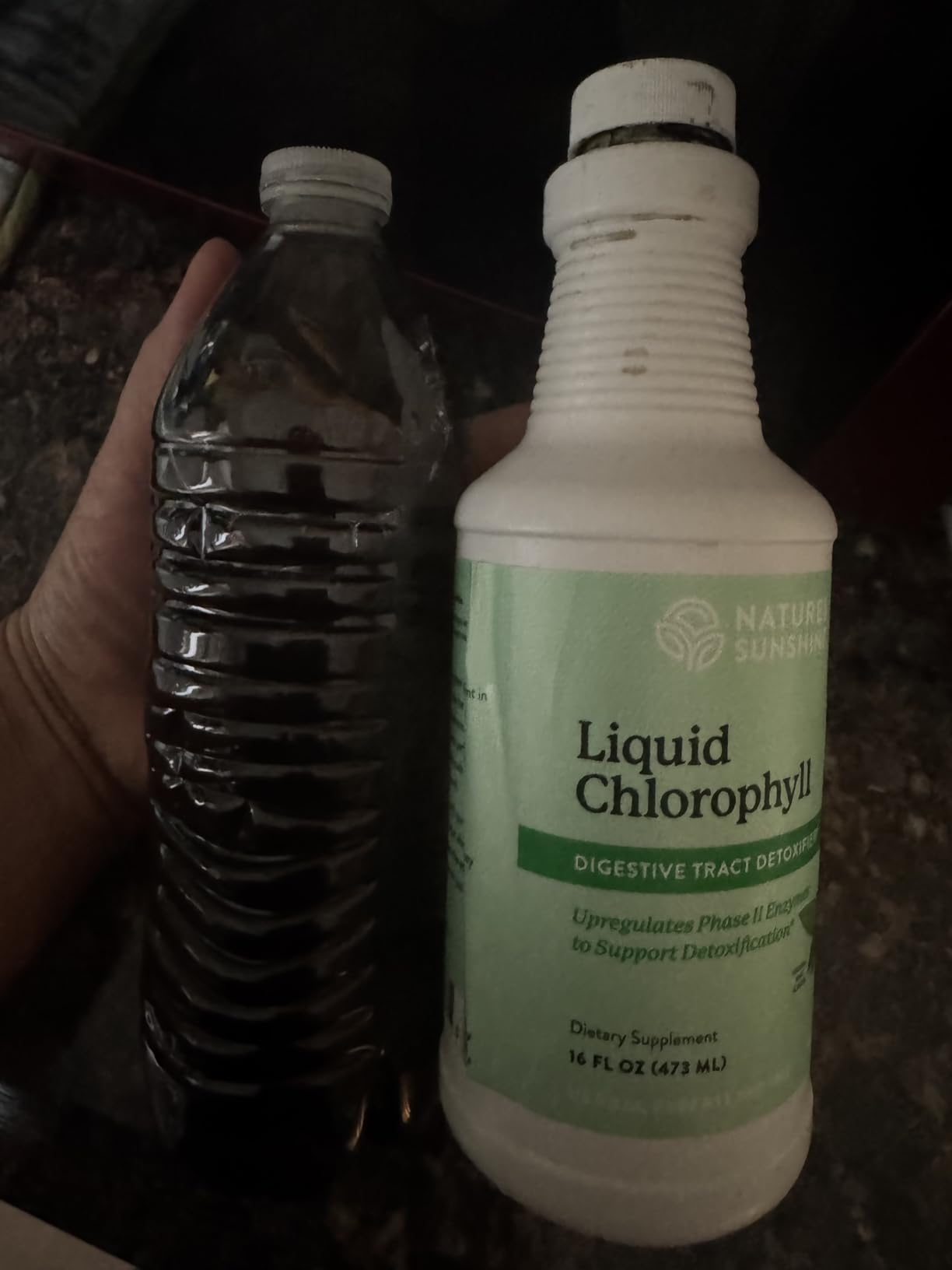 Nature's Sunshine Liquid Chlorophyll - Immunity Support, Detox & Cleanse, Chlorophyll Liquid Drops with Spearmint Oil, Natural Energy Boost, Internal Deodorant - 16 Fl Oz customer photo 2