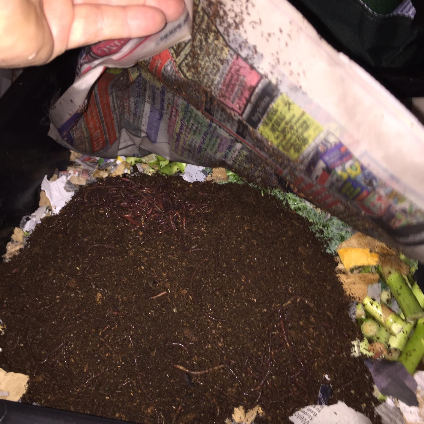Worm Factory® 360 Black US Made Composting System for Recycling Food Waste at Home - 4 Trays for Efficient Vermicomposting - Durable, Space-Efficient Design, Easy to Assemble, No Odor customer photo 2