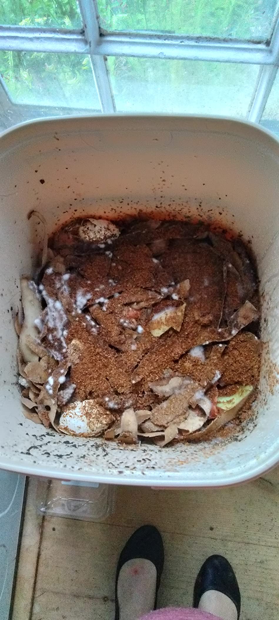 All Seasons Indoor Composter Starter Kit - 5 Gallon Tan Compost Bin For Kitchen Countertop With Lid, Spigot & 1 Gallon (2 lbs.) Bag Of Dry Bokashi Bran - by SCD Probiotics customer photo 2