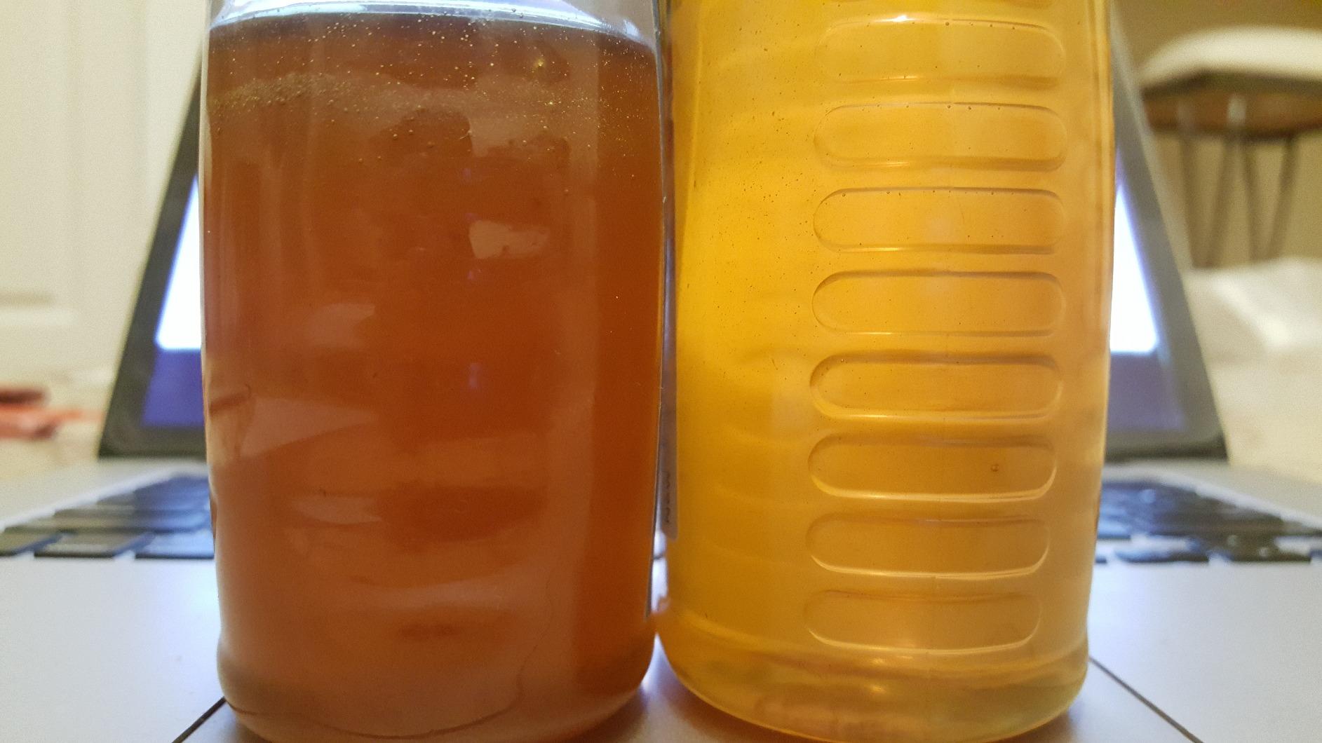 Tupelo Honey | Winter Park Honey (Pure Raw Unblended) customer photo 2