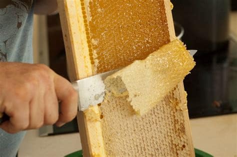 Really Raw Honey, Straight from the Hive, Never Heated or Filtered, Harvested from Small USA Family Farms, 16 Ounce customer photo 1