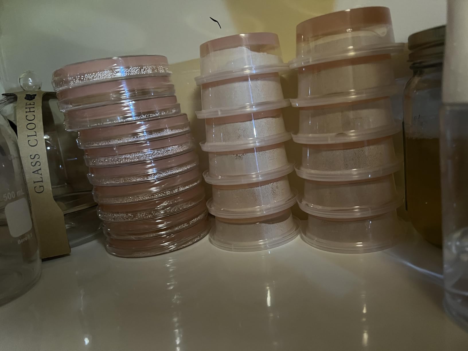 Agar Agar Powder 5 Ounces - Excellent Gel Strength customer photo 1