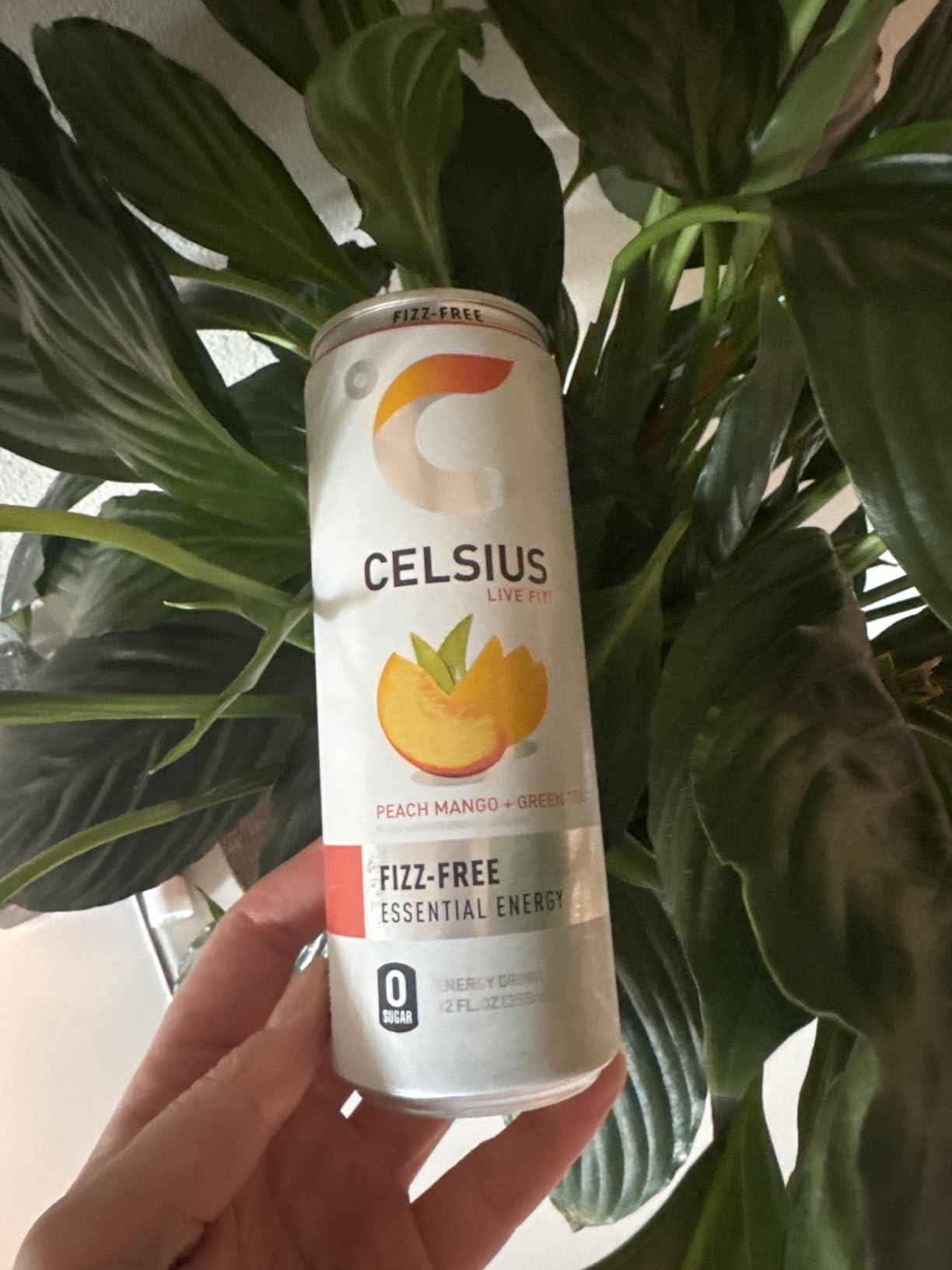 CELSIUS Fizz Free Peach Mango Green Tea, Sugar Free Energy Drink, 12 Fl Oz (Pack of 12) customer photo 1
