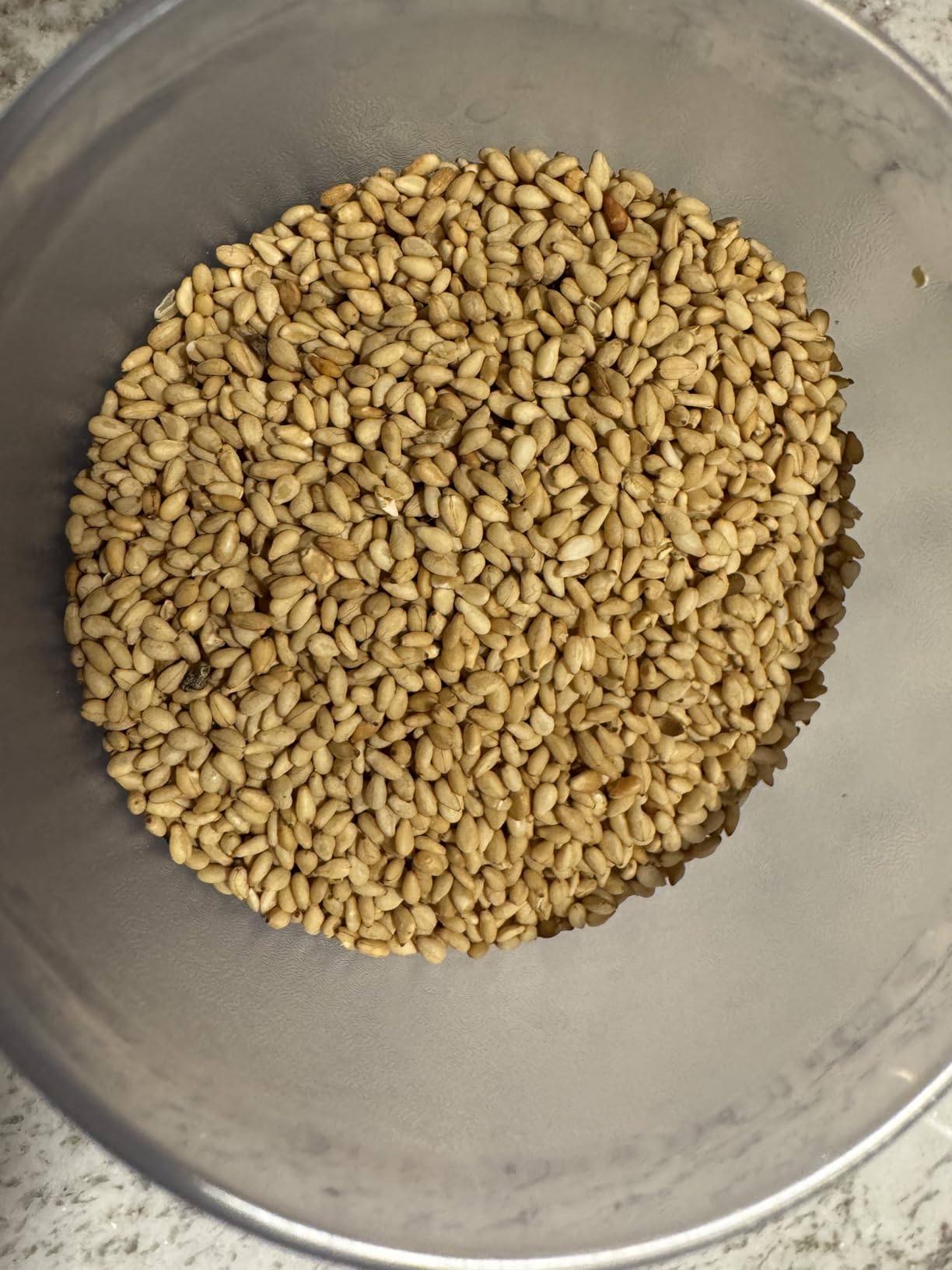 Organic Toasted Sesame Seeds (Unhulled) - Gluten-Free Topping for Asian Dishes, Ready to Eat Straight From the Bag, Roasted Seeds Great for Baking and Cooking at Home, Resealable Bag, 32 oz, 2 lb customer photo 1
