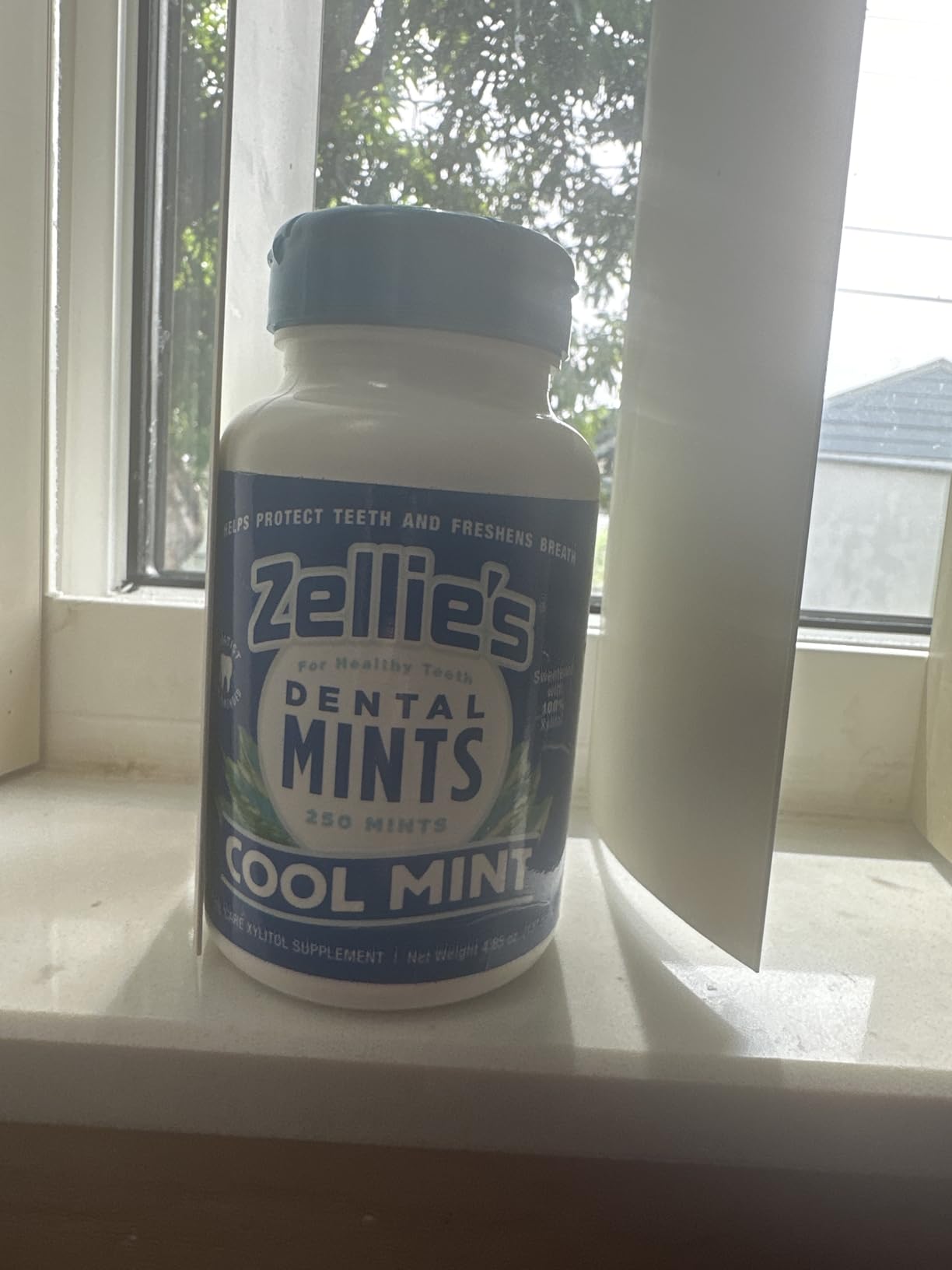 Zellie's | 100% Xylitol Peppermint Chewing Gum | No Aspartame, Gluten Free, Vegan & Kosher (100 Count) customer photo 1