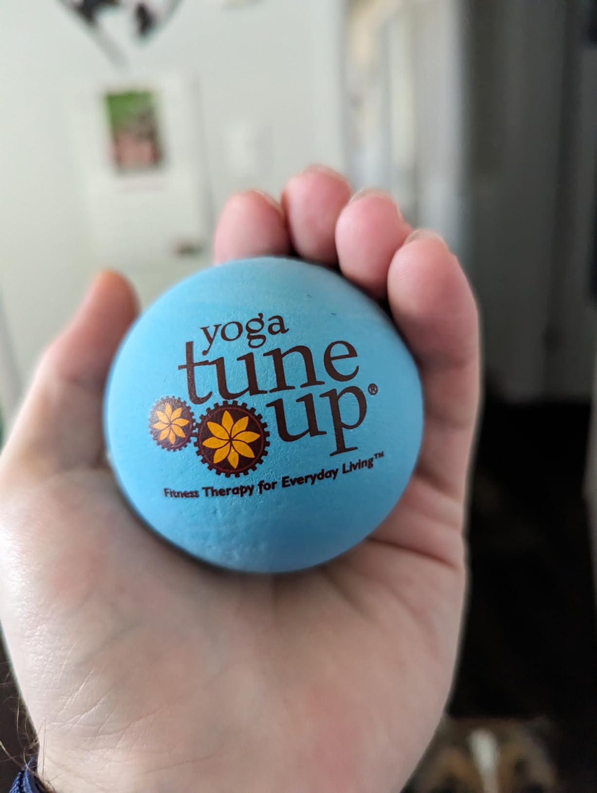 YOGA TUNE UP Therapy Balls in Tote by Tune Up Fitness - Massage Balls for Trigger Point, Pressure Point & Myofascial Release (Aqua Blue) customer photo 1