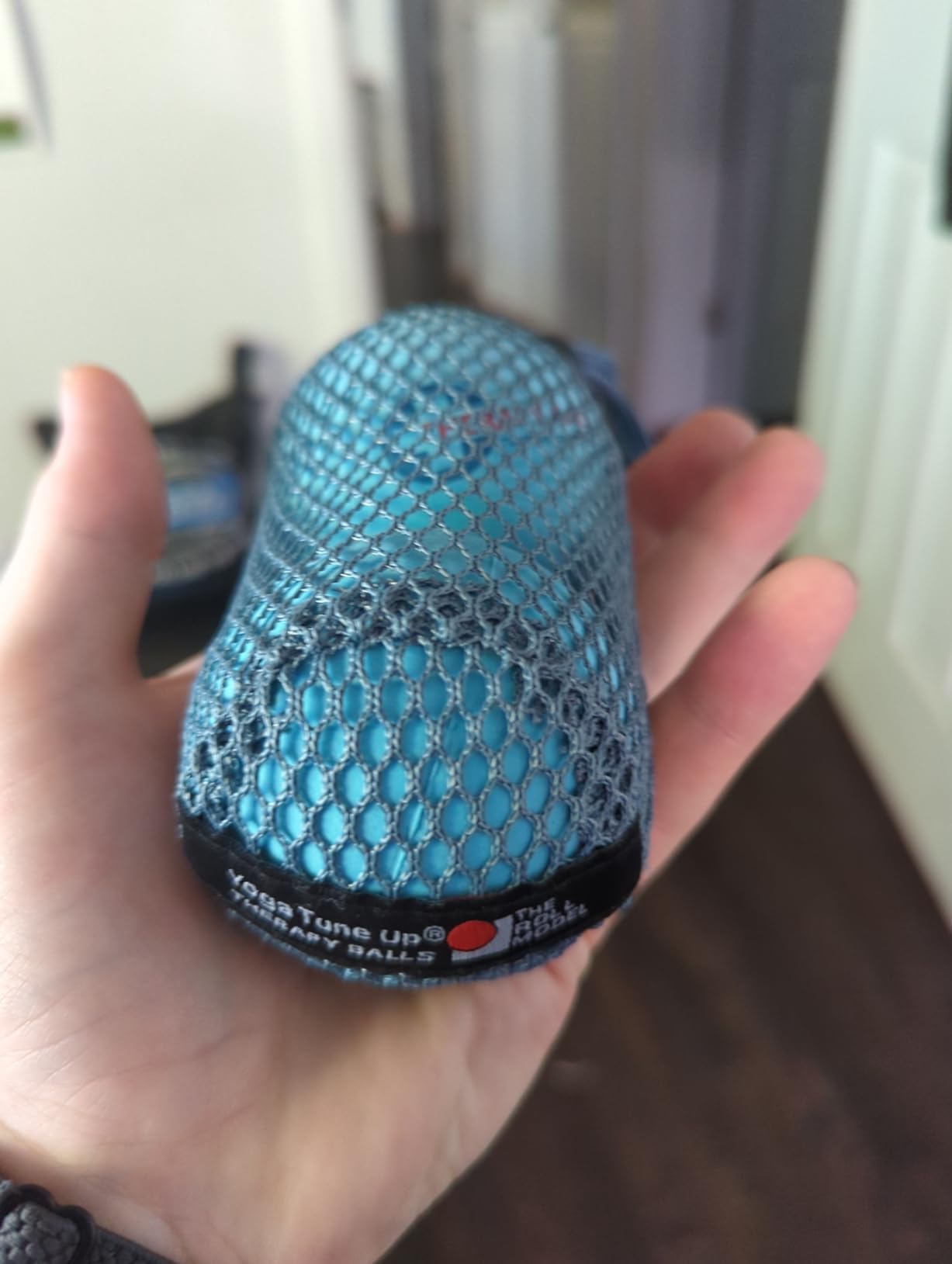 YOGA TUNE UP Therapy Balls in Tote by Tune Up Fitness - Massage Balls for Trigger Point, Pressure Point & Myofascial Release (Aqua Blue) customer photo 2