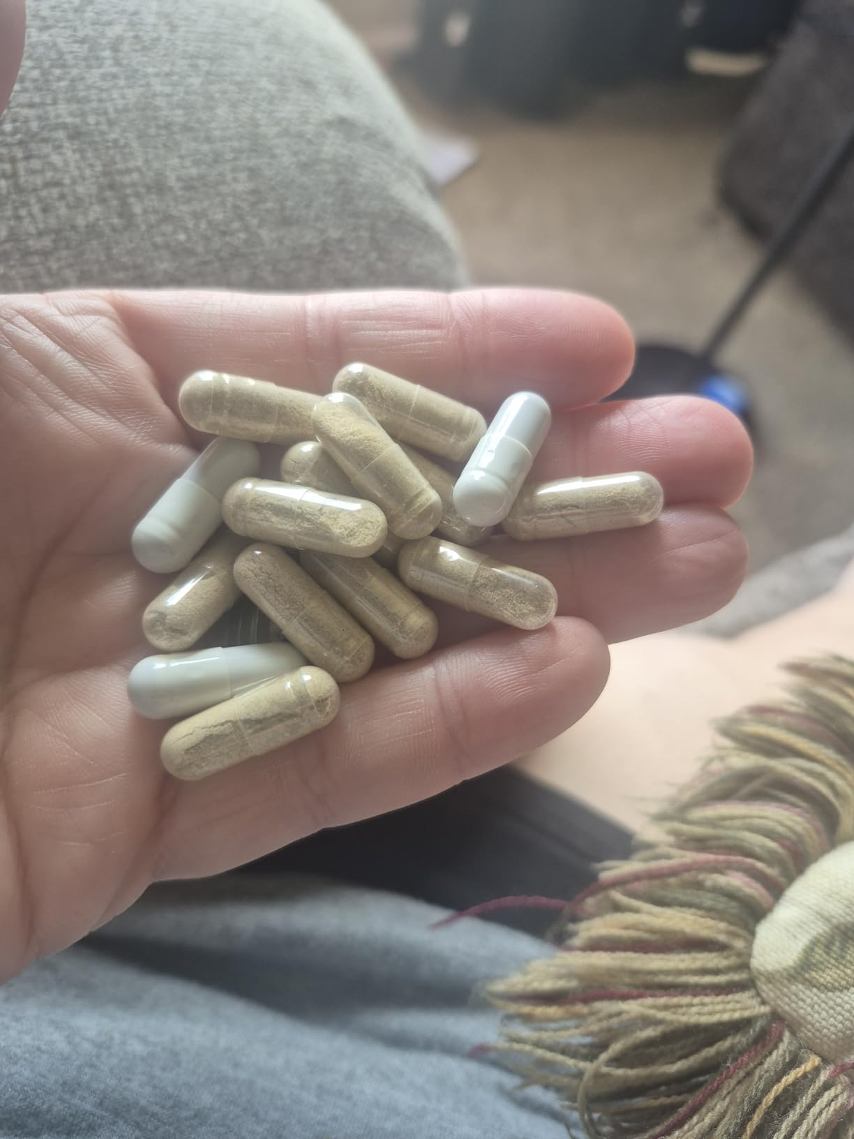 Piping Rock Black Cohosh Root Extract | 100 Capsules | Concentrated | Non-GMO, Gluten Free Supplement customer photo 2