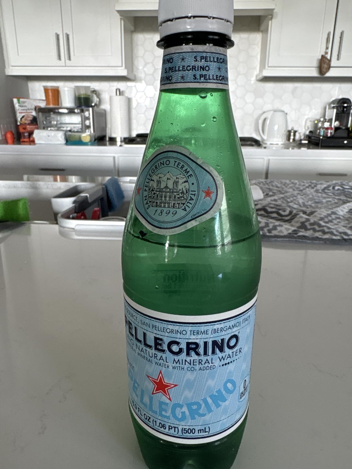 S.Pellegrino Sparkling Natural Mineral Water, Plastic Bottles, 16.9 Fl Oz (Pack of 12) customer photo 1
