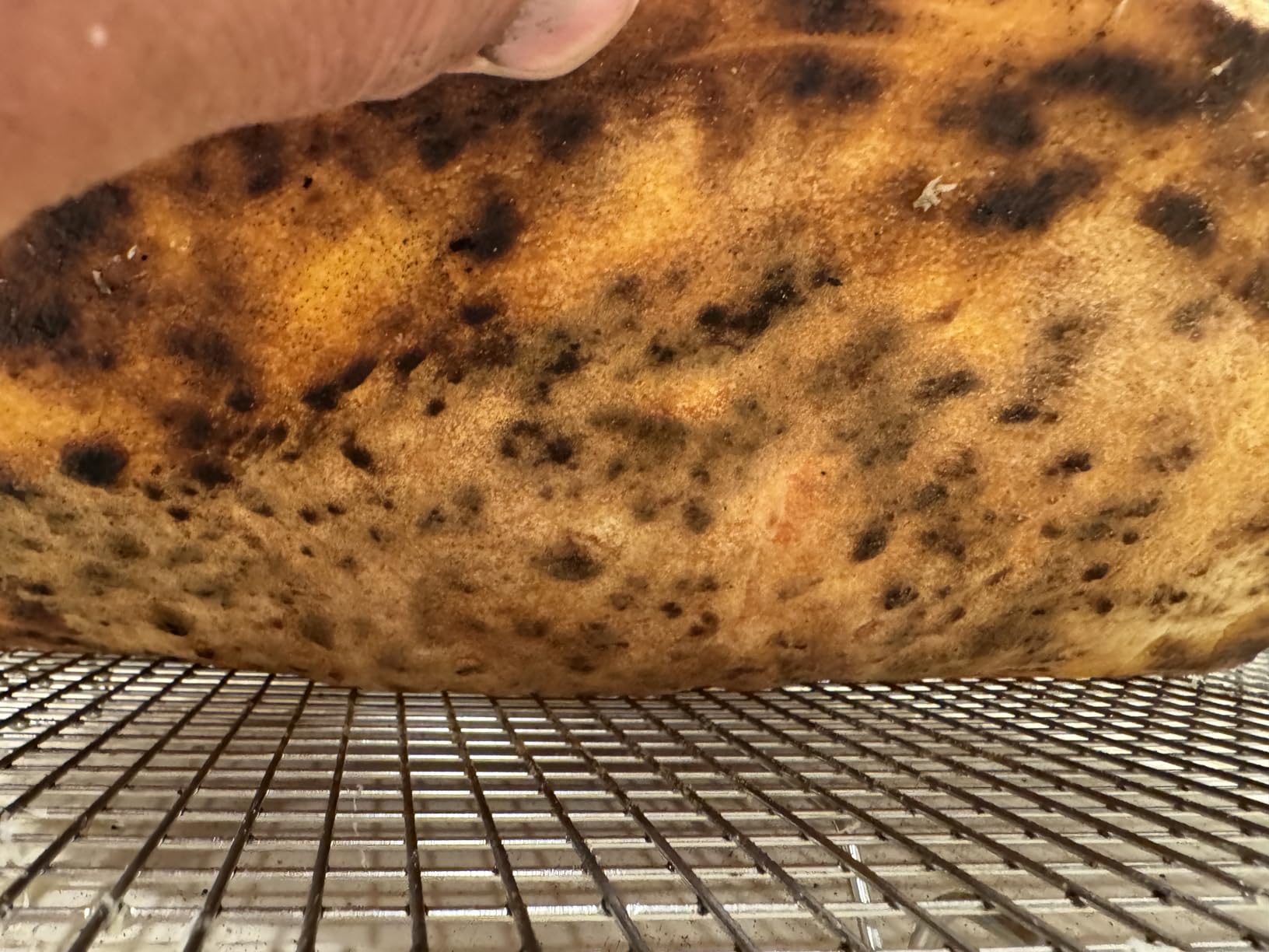 NerdChef Steel Stone - High-Performance Baking Surface for Pizza .50