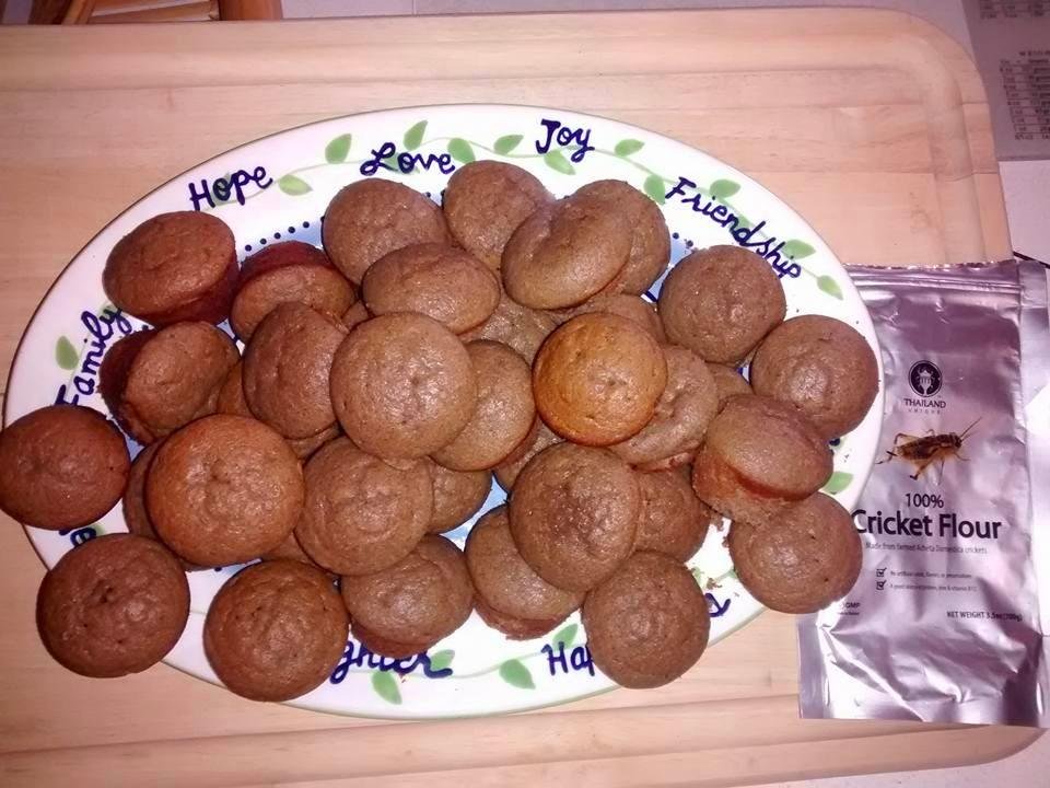 Cricket powder made of 100% Cricket (.22 lb) customer photo 1