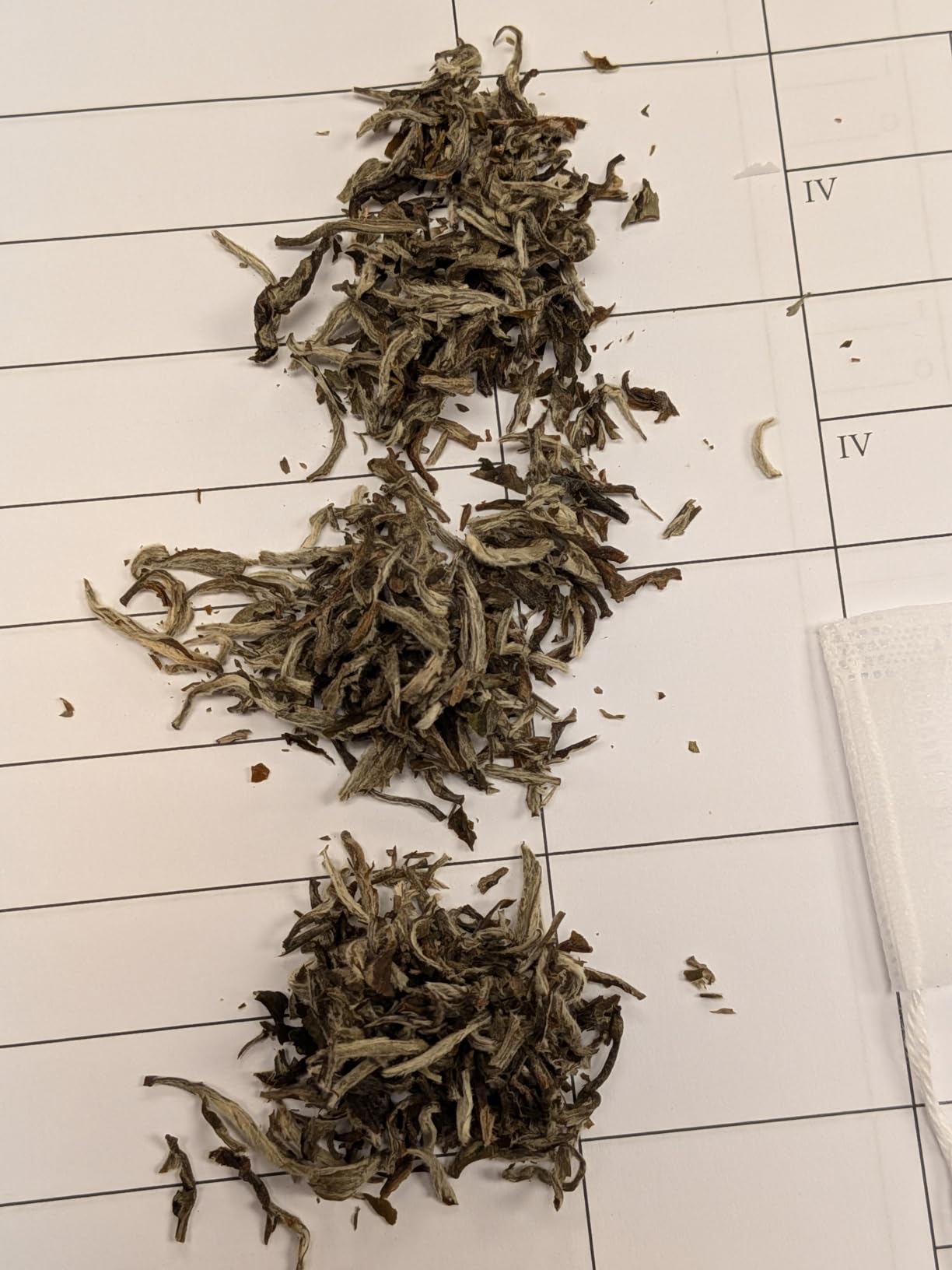 VAHDAM Imperial White Tea Leaves (1.76oz|25+ cups) Grown in Himalayas - Mellow, Fragrant & Delicious High Elevation Grown White Tea Loose Leaf customer photo 1