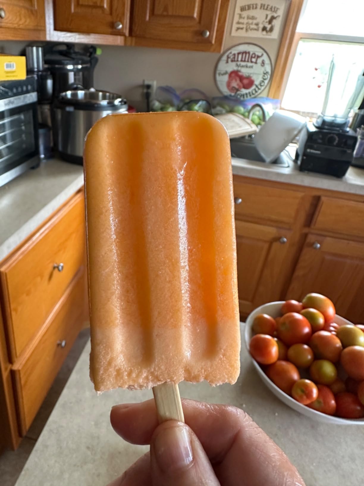 Onyx Stainless Steel Popsicle Mold customer photo 1