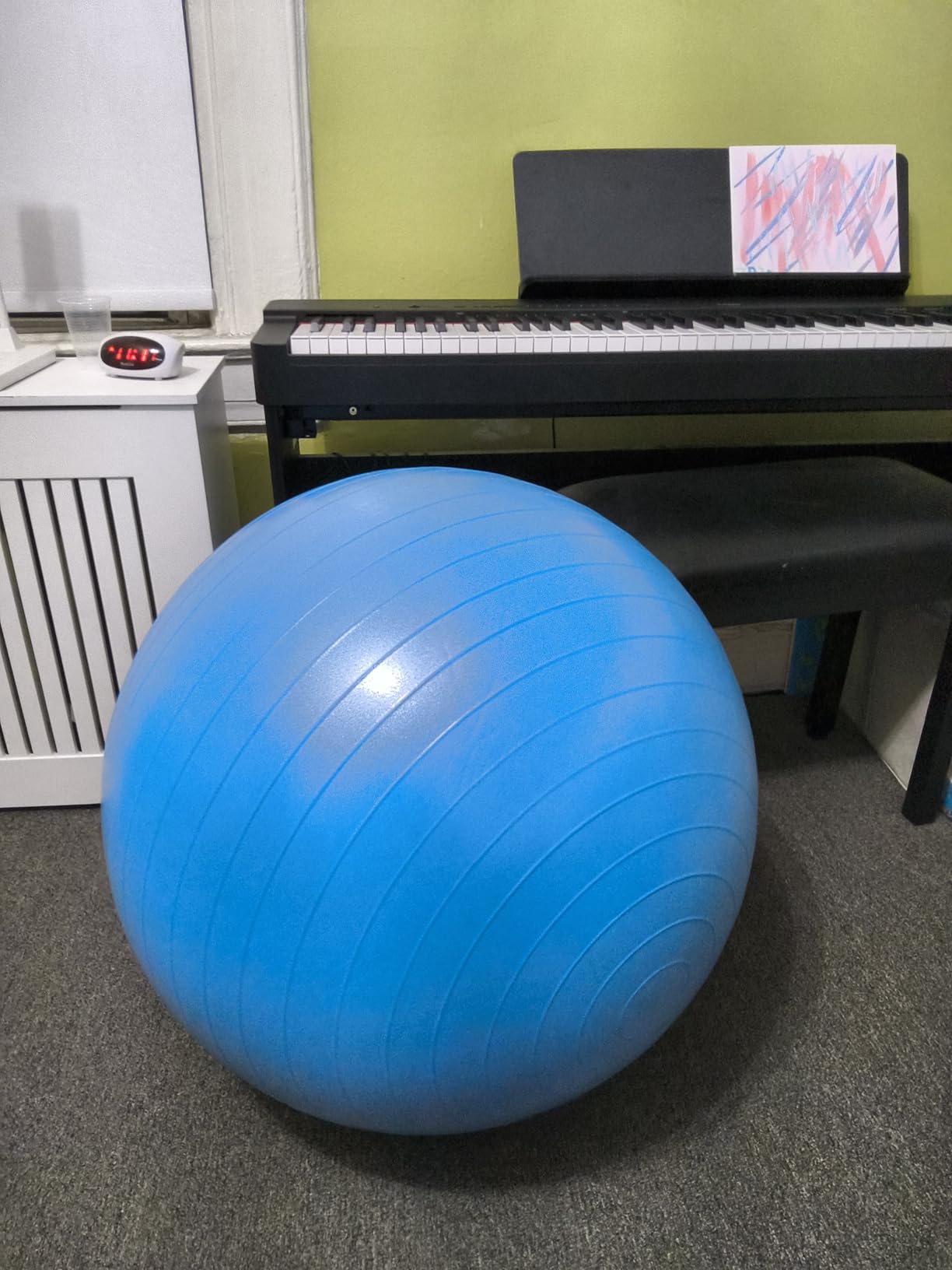 ProBody Pilates Exercise Ball - Multiple Sizes Gym Grade Balance Ball for Fitness, Yoga, Workout, Pregnancy & Physical Therapy customer photo 1