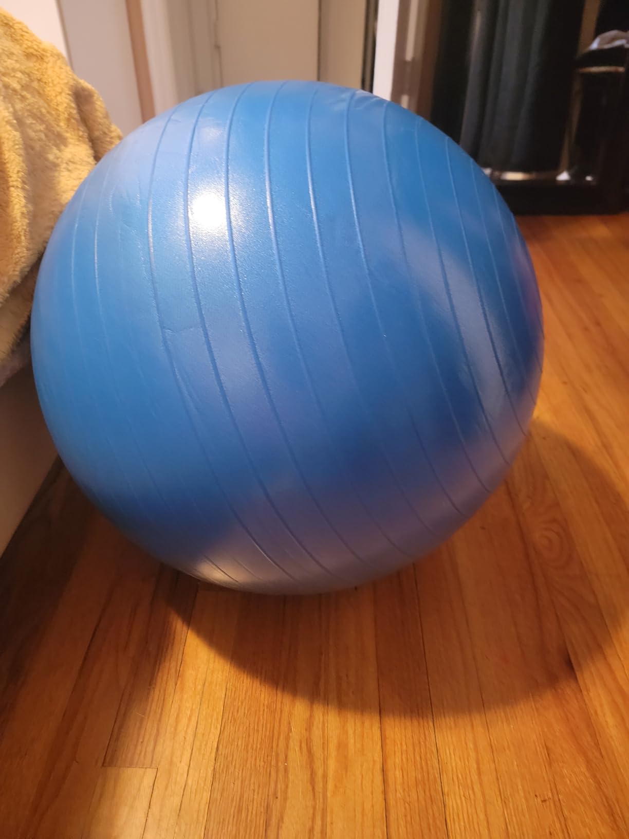 ProBody Pilates Exercise Ball - Multiple Sizes Gym Grade Balance Ball for Fitness, Yoga, Workout, Pregnancy & Physical Therapy customer photo 2