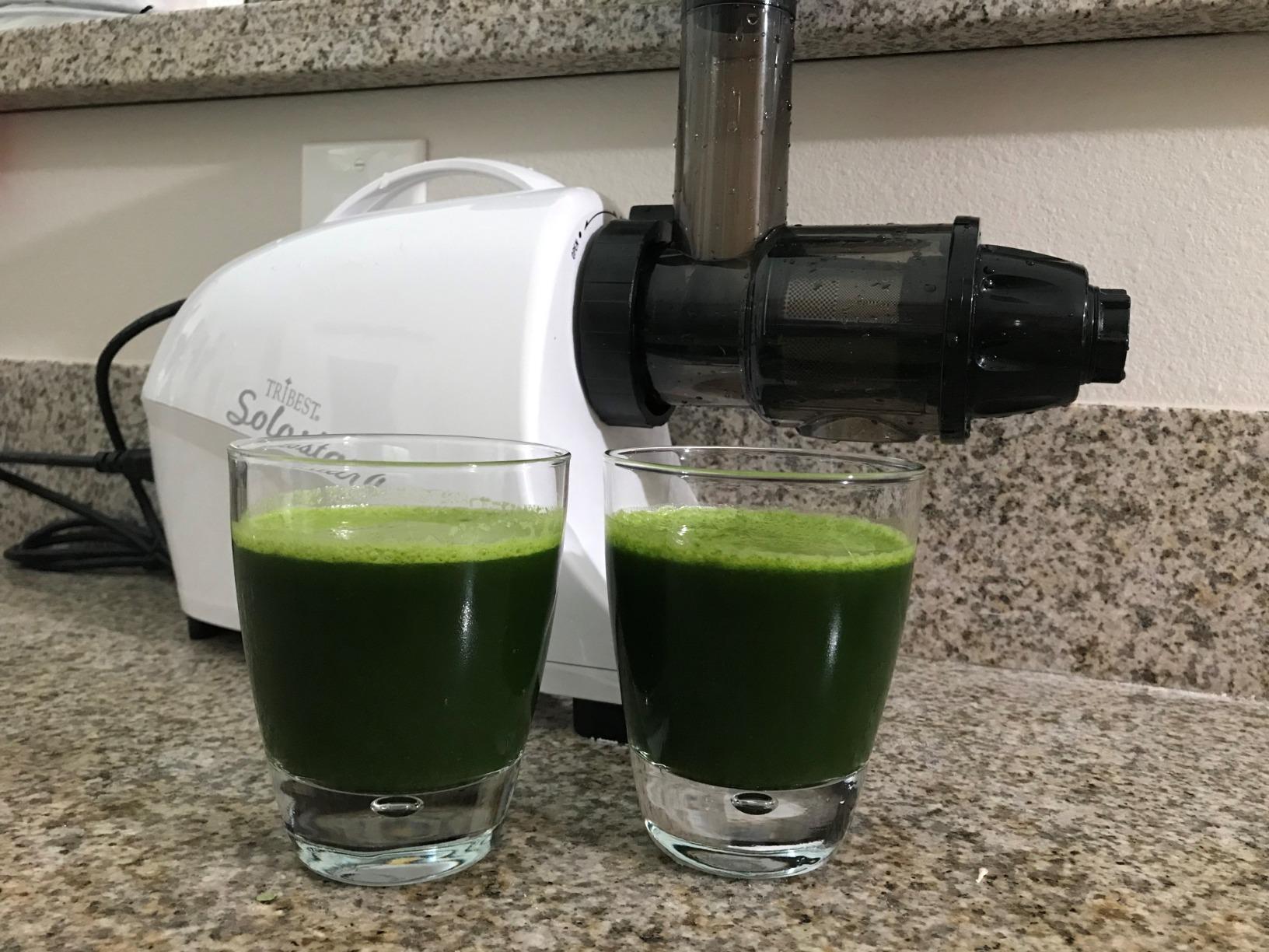 Tribest Solostar SS-4200-B Horizontal Slow Masticating Juicer, Single Auger Cold Press Juicer & Juice Extractor, White customer photo 1