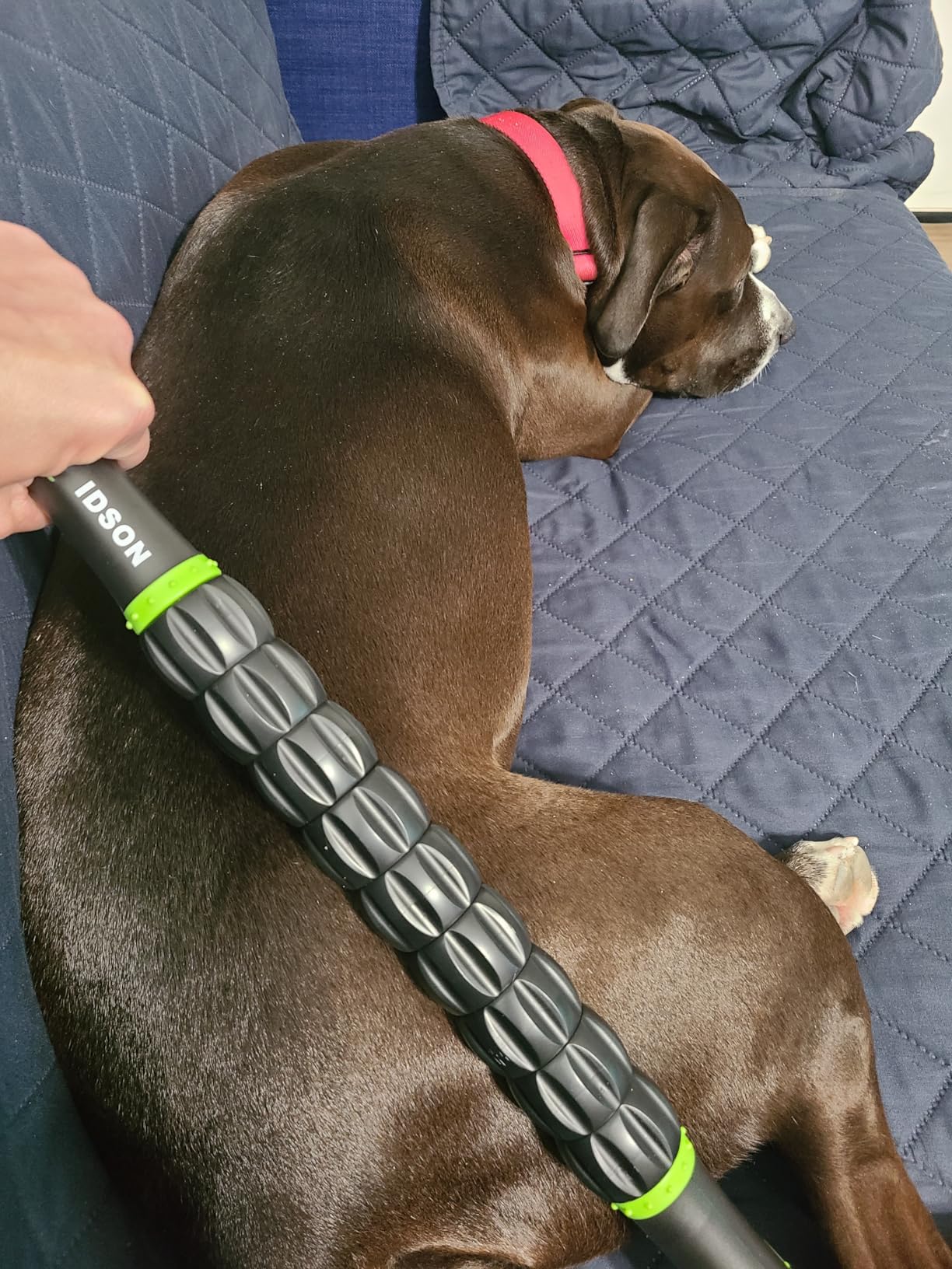 Idson Muscle Roller Stick for Athletes- Body Massage Sticks Tools Massager for Relief Muscle Soreness,Cramping and Tightness,Help Legs and Back Recovery,Black Green customer photo 2