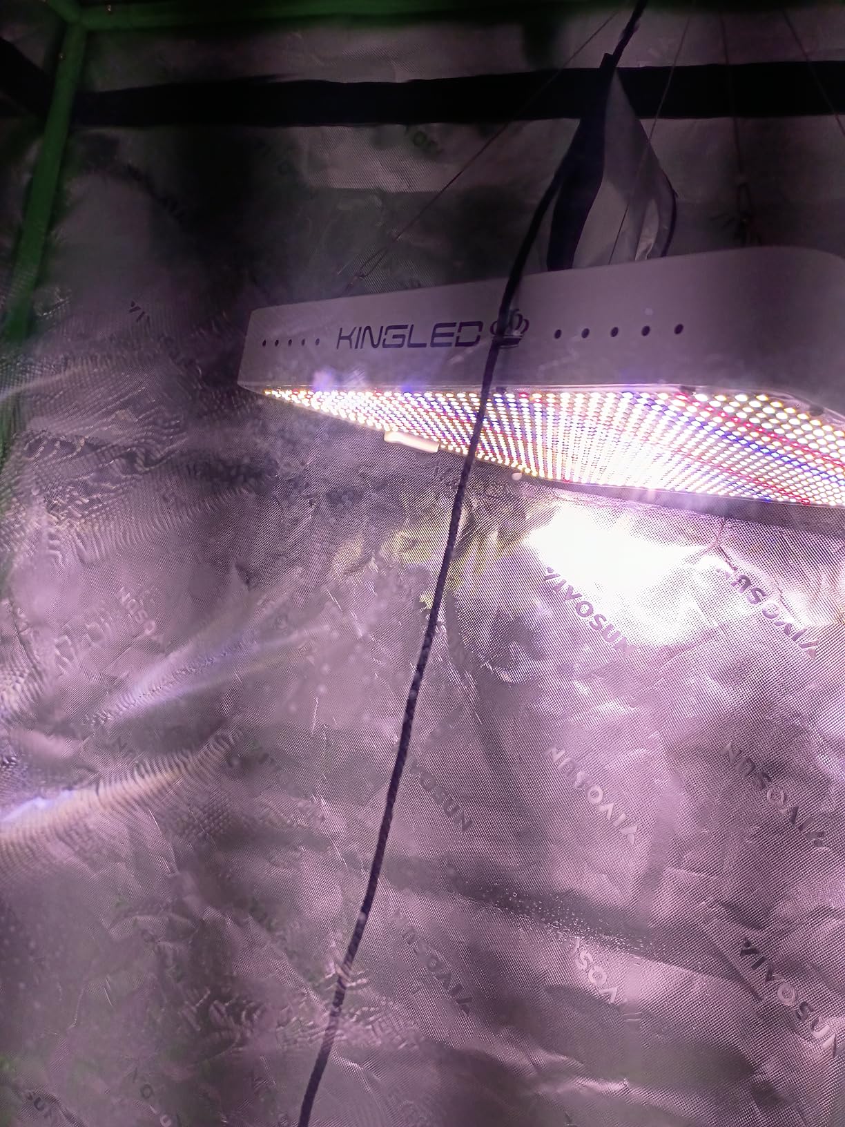 KingLED KP1000 LED Grow Light for Indoor Plants, Full Spectrum Plant Light with Veg & Bloom Mode, 100W Growing Lamp for Seed Starting Seedlings Vegetable Hydroponic Greenhouse, 2x2/2x3 Grow Tent customer photo 1