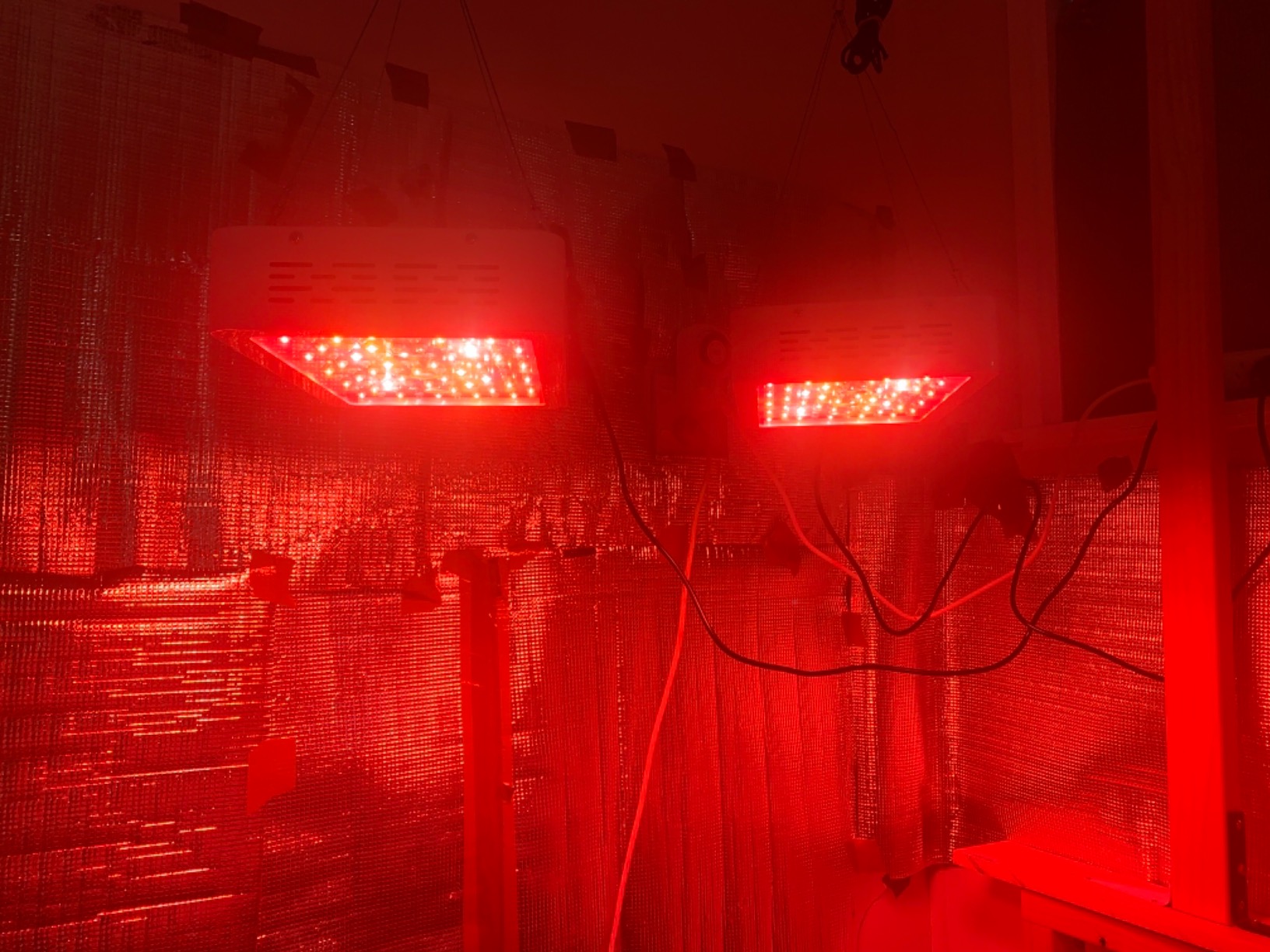 KingLED KP1000 LED Grow Light for Indoor Plants, Full Spectrum Plant Light with Veg & Bloom Mode, 100W Growing Lamp for Seed Starting Seedlings Vegetable Hydroponic Greenhouse, 2x2/2x3 Grow Tent customer photo 2