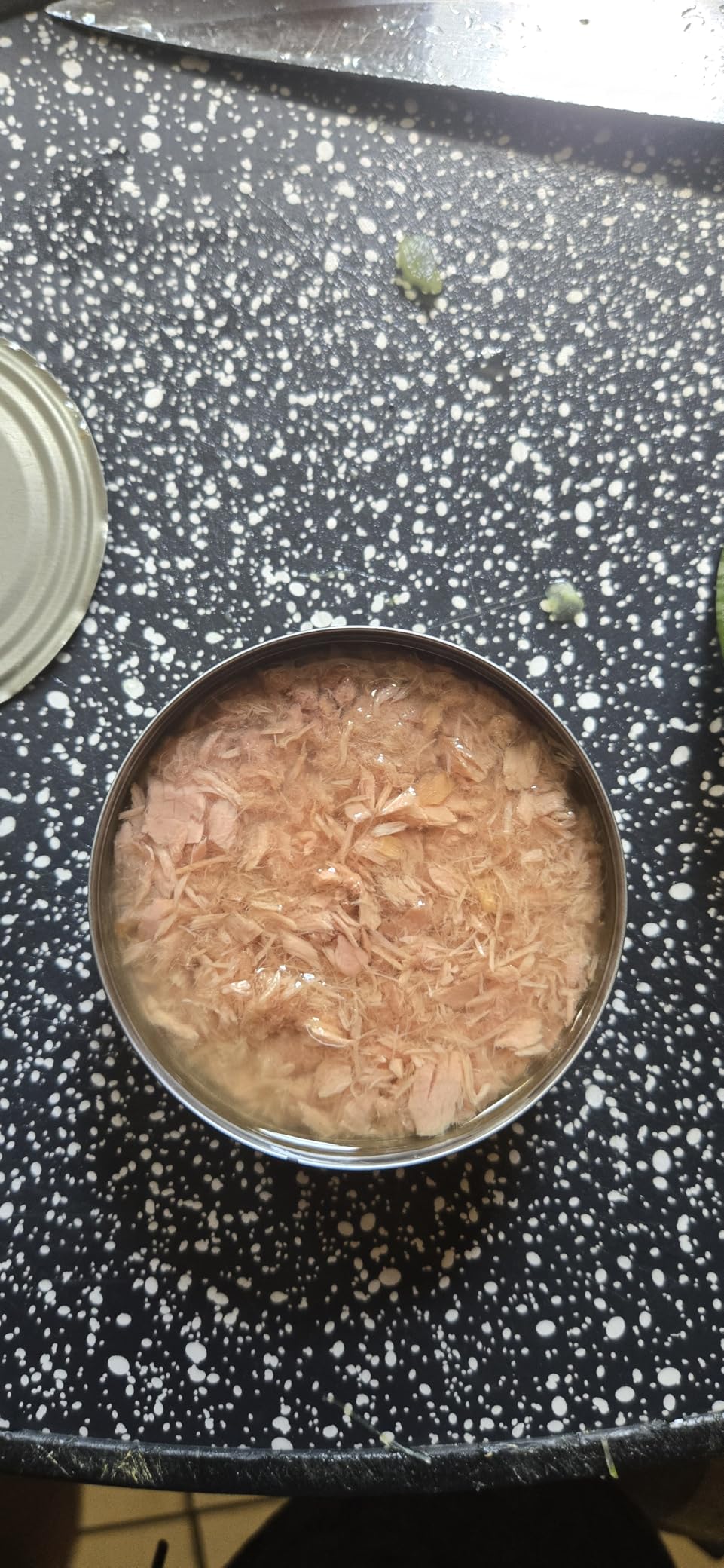 Bumble Bee Chunk Light Tuna In Oil, 5 oz Cans (Pack of 24) - Wild Caught Skipjack Tuna - 22g Protein Per Serving - MSC Certified Sustainable Seafood, Non-GMO, Gluten Free, Kosher customer photo 1