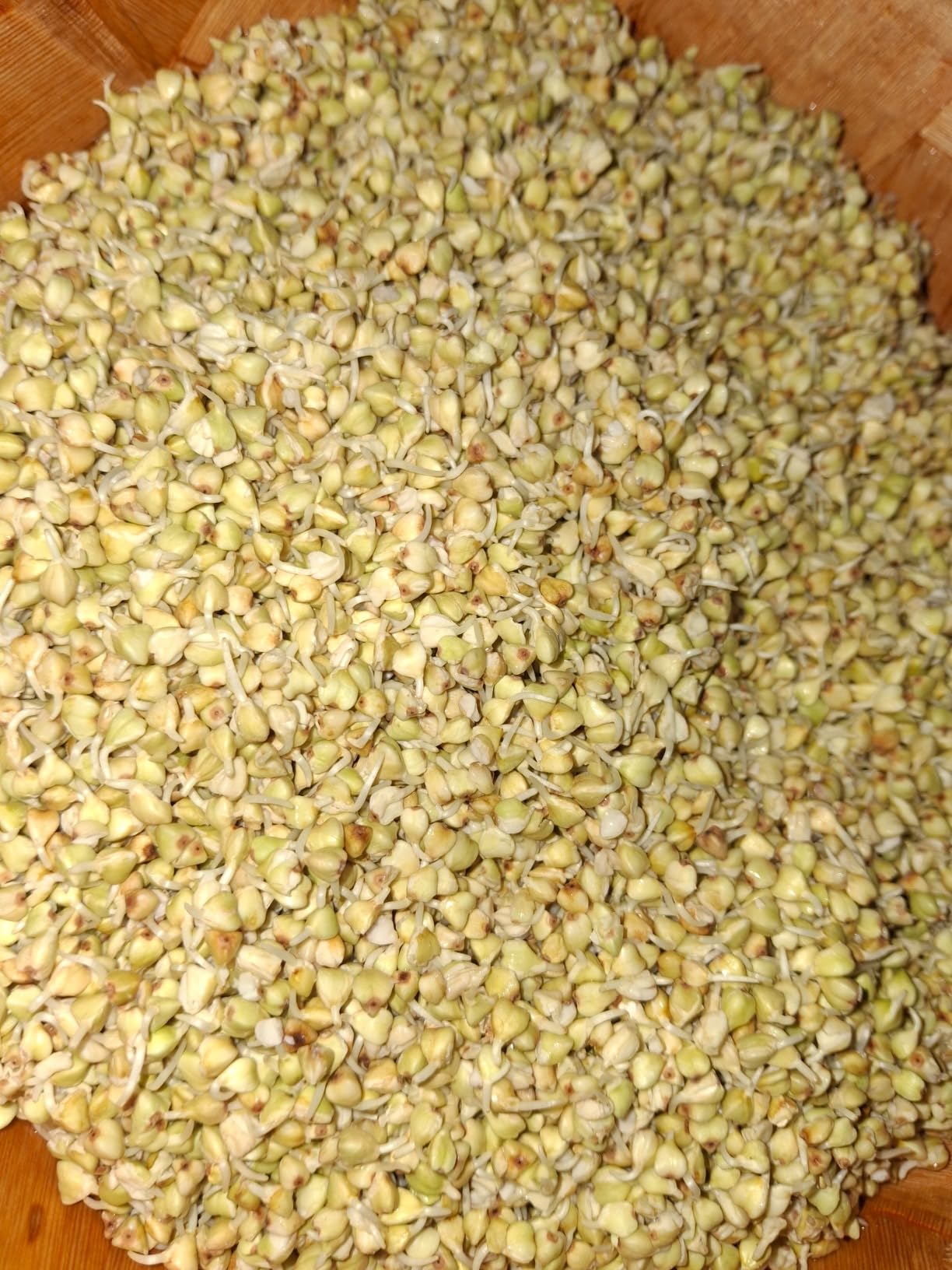 Royal Lee Organics Organic Gluten Free Buckwheat Groats 10 lbs customer photo 1