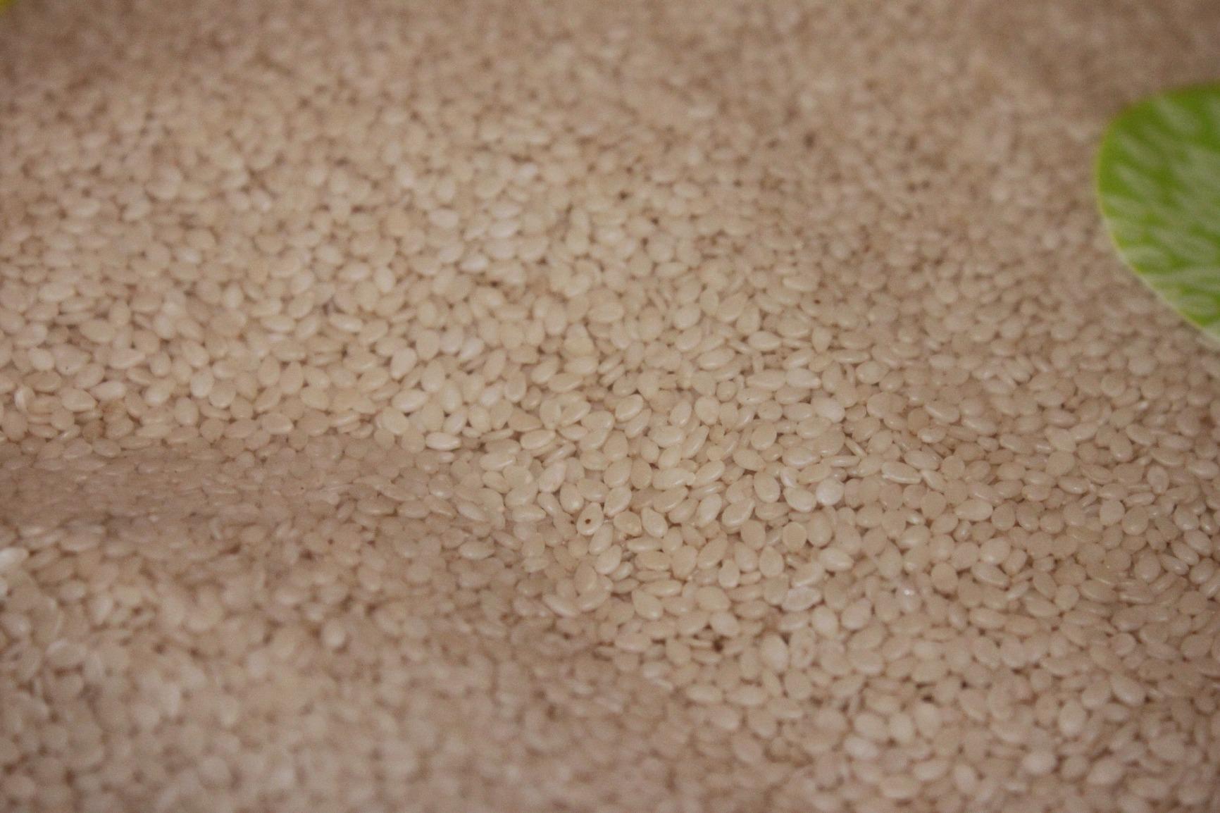 Food to Live Organic Hulled Sesame Seeds, 1 Pound - Whole Raw White Sesame Seeds, Non-GMO, Kosher, Vegan, Unroasted, Bulk. High in Iron, and Calcium. Perfect for Tahini Paste, Stir-fries, and Salads. customer photo 2
