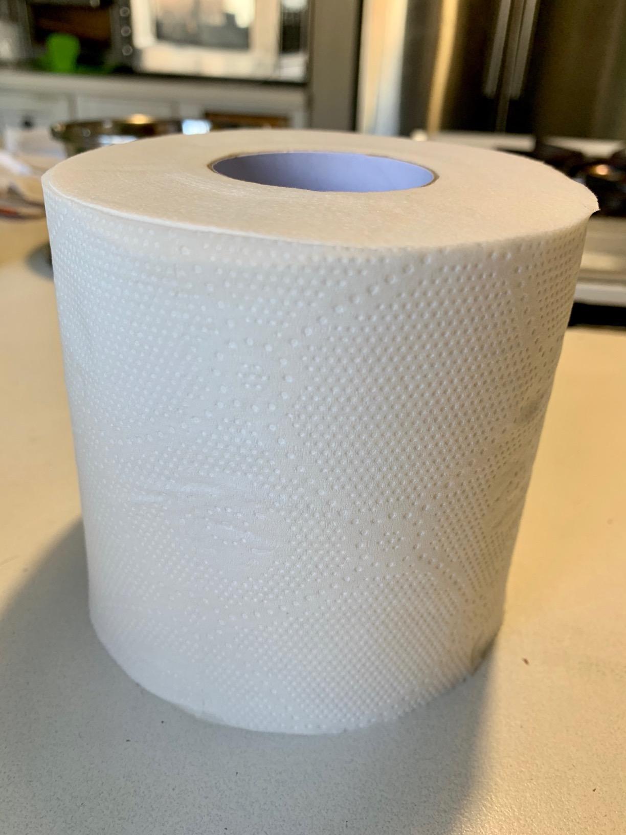 Caboo Tree Free Toilet Paper | Septic Safe, Eco Friendly, Chemical Free, Non Toxic | 2 Ply Toilet Tissue, Pack of 24 Double Rolls, 300 Sheets Per Roll customer photo 1