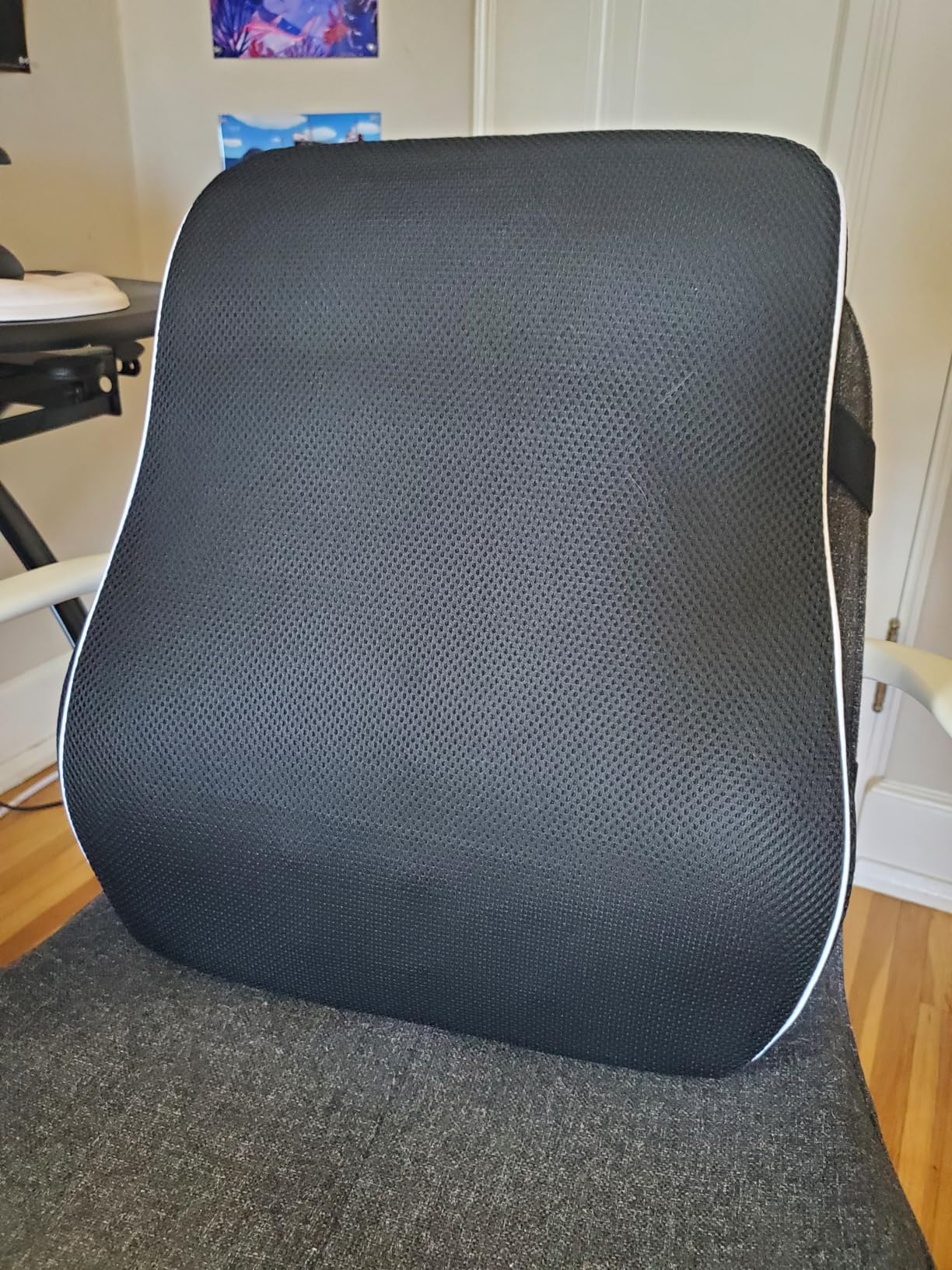 Lumbar Support Pillow for Office Chair, Office Home Essentials, Gifts for Mom, Dad, Back Support Pillow for Car, Chair Cushions, Back Pain Relief Improve Posture, Mesh Cover Double Adjustable Straps customer photo 1