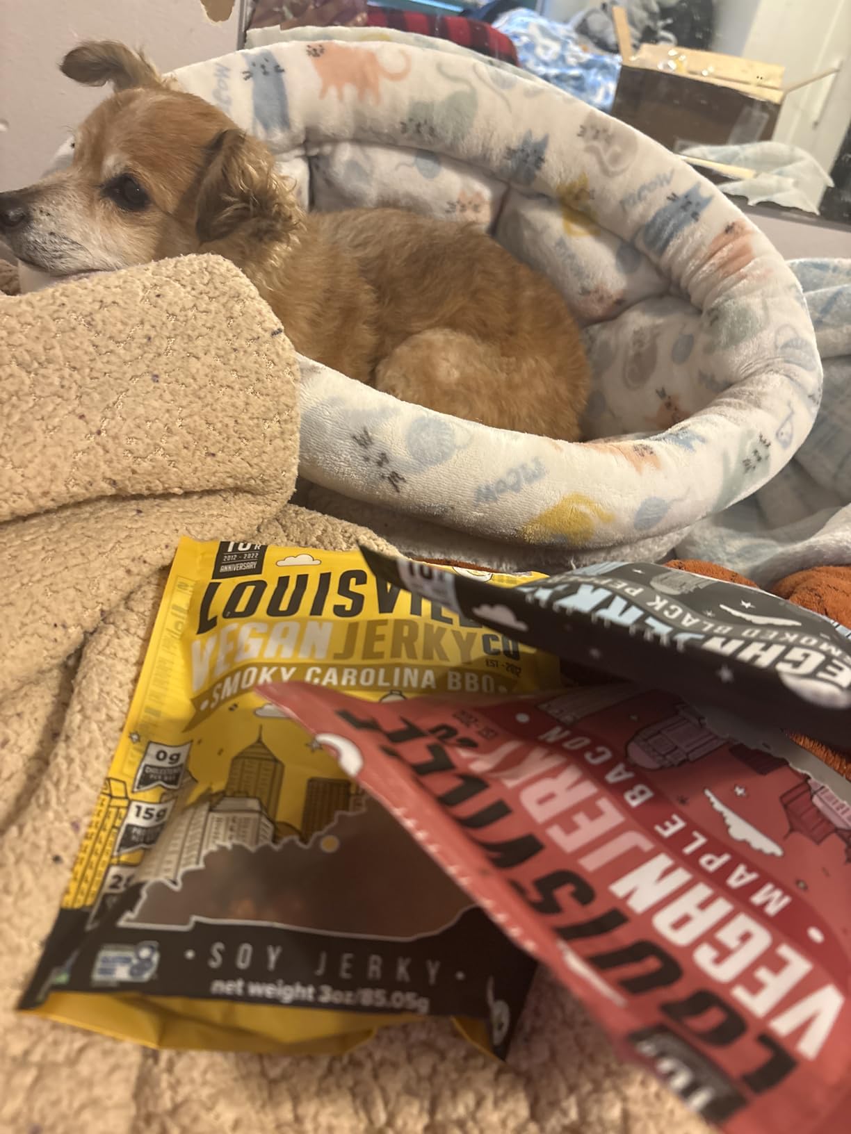 Louisville Vegan Jerky Co. Best Sellers 1 Variety Bundle Vegan Jerky 3 oz. 3 pack (Smoky Carolina BBQ, Smoked Black Pepper, Maple Bacon) customer photo 1