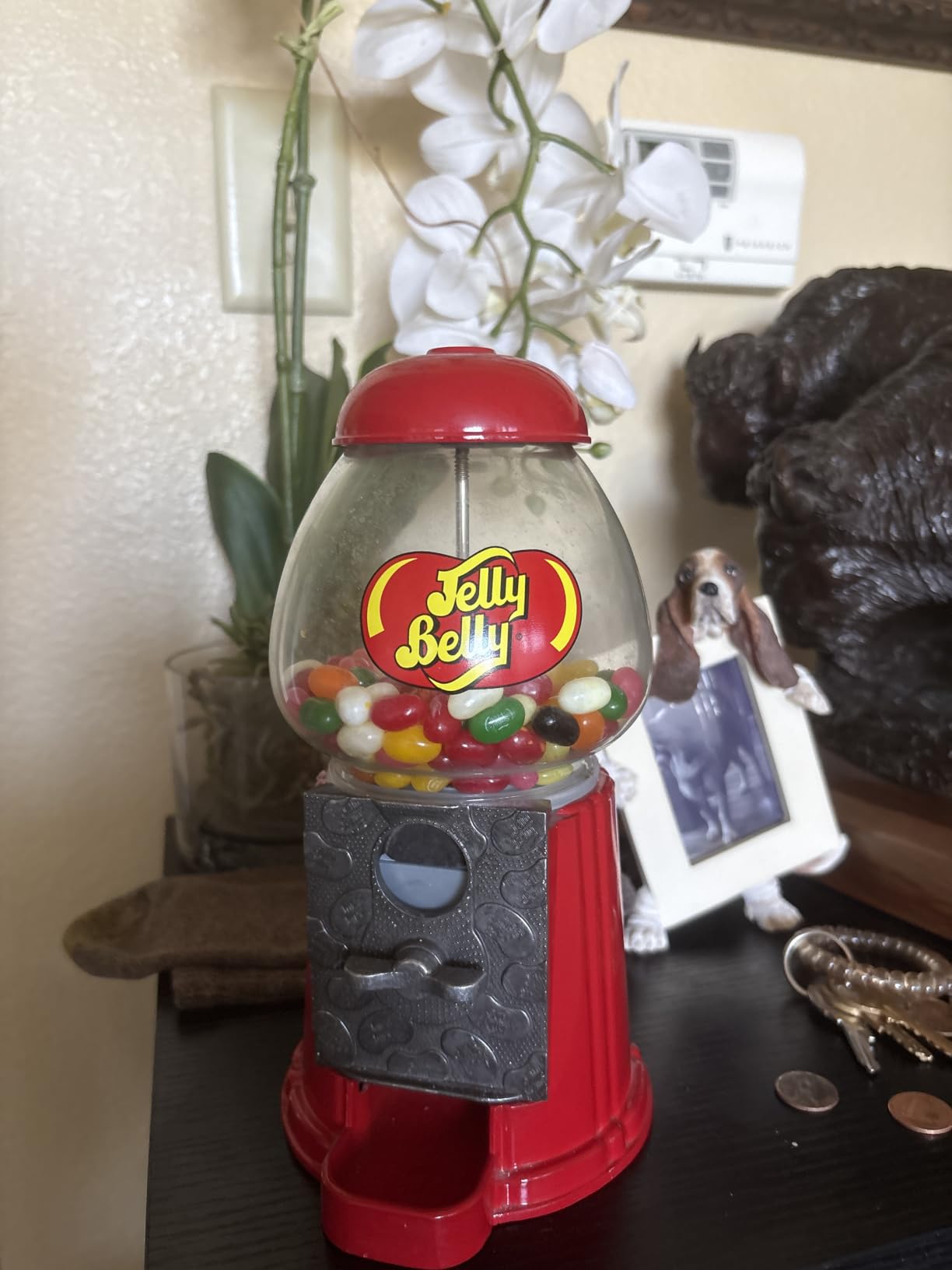 Jelly Belly Sugar Free - 8.25 oz Bag - Official, Genuine, Straight from the Source customer photo 1
