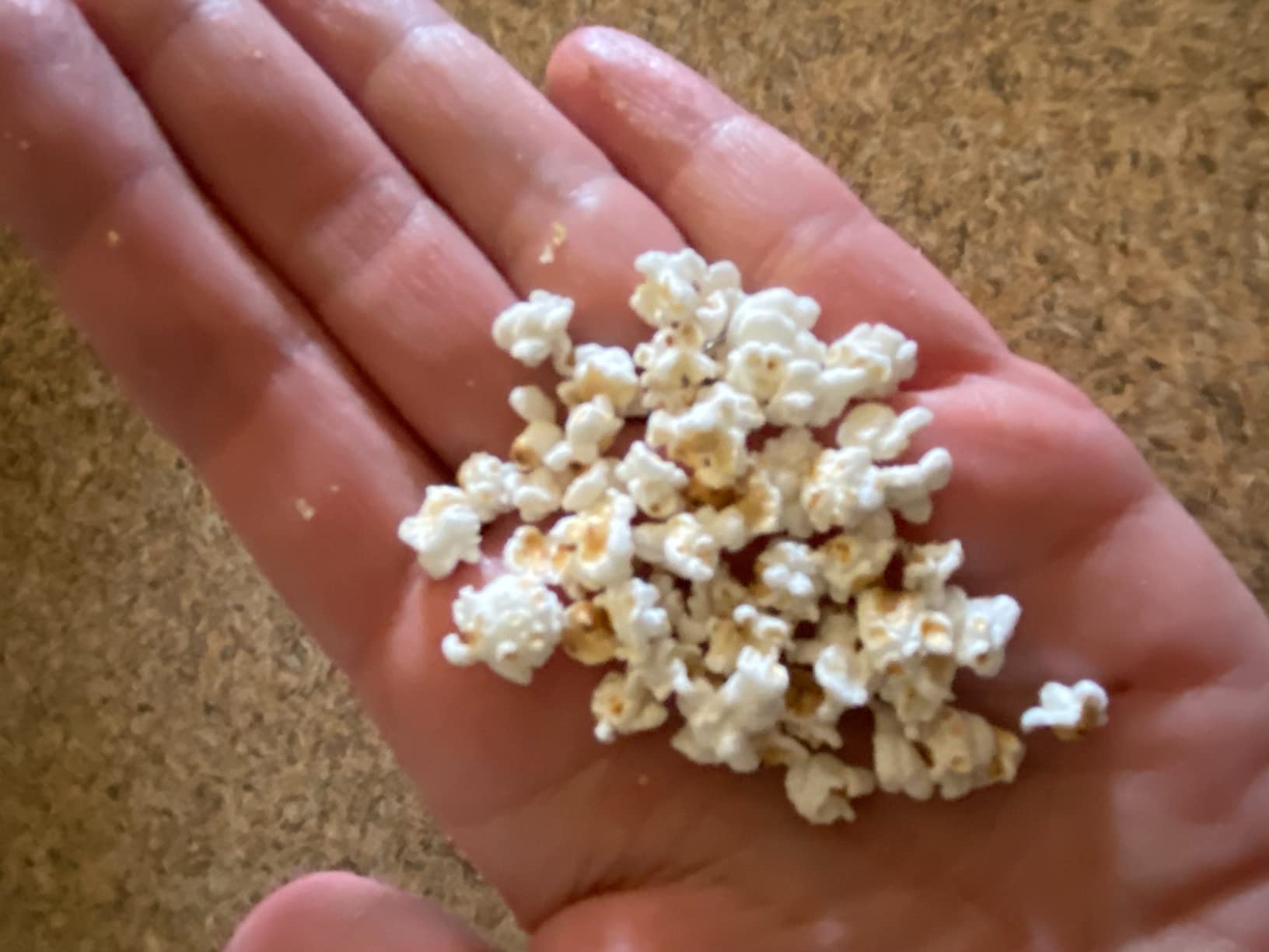 Nature Nate's Popped Sorghum, Avocado Oil Sea Salt - Organic Sorghum, Keto & Gluten Free, Whole 30, Healthy Snacks, Better Than Popcorn, Made in USA - 5 Ounce customer photo 2
