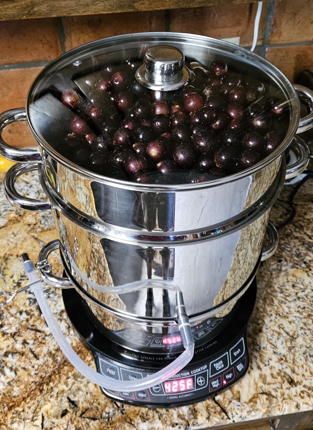 Giantex 11 Quart Juice Steamer Fruit Vegetables Juicer Steamers w/Tempered Glass Lid, Hose, Clamp, Loop Handles Stainless Steel customer photo 1