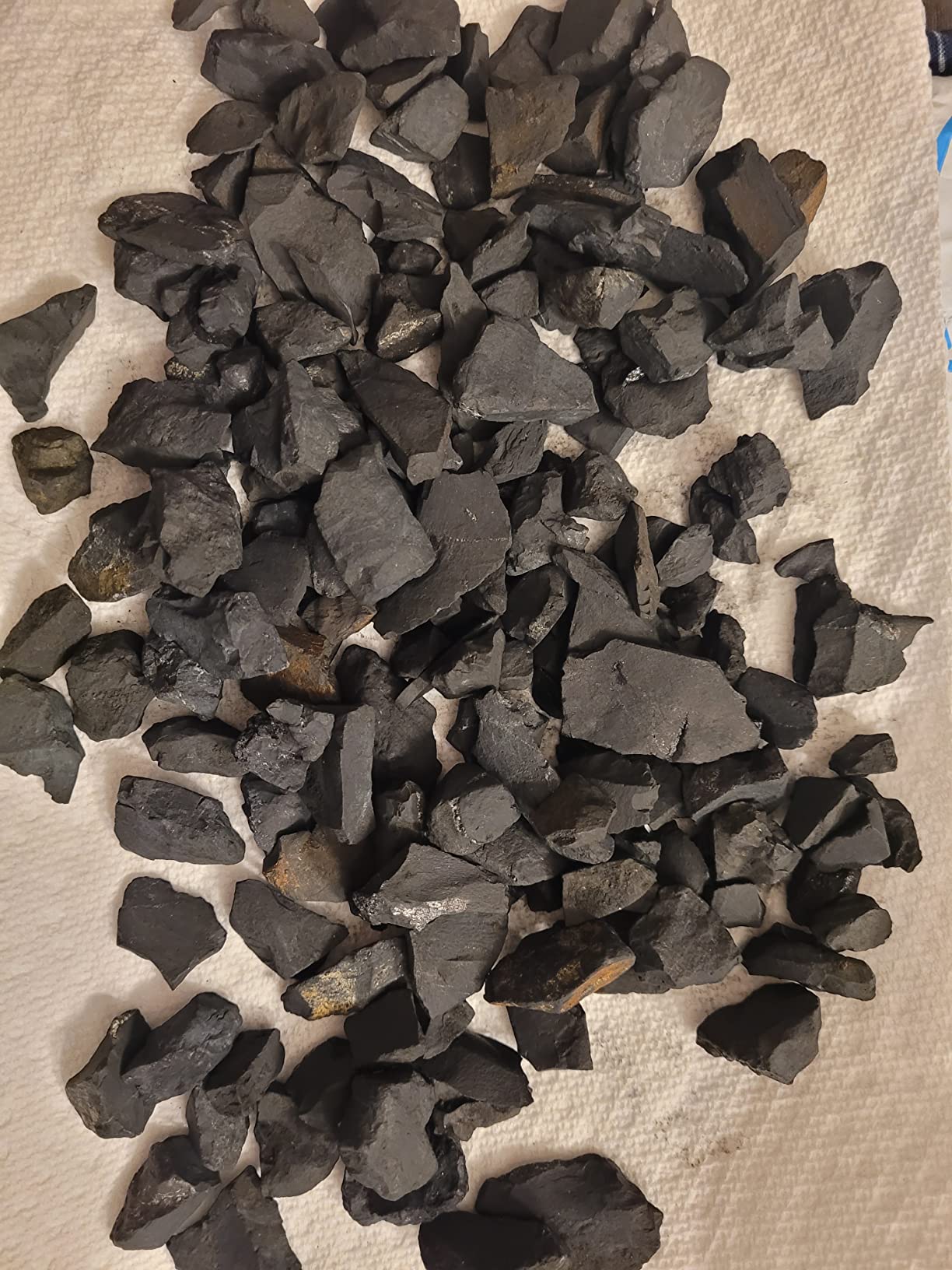 Shungite Stones - by wellness hut - Authentic Tier III Karelian Rocks for Drinking Water Infusion - Natural Minerals with High Fullerenes Content - 1-Pound Bag customer photo 1