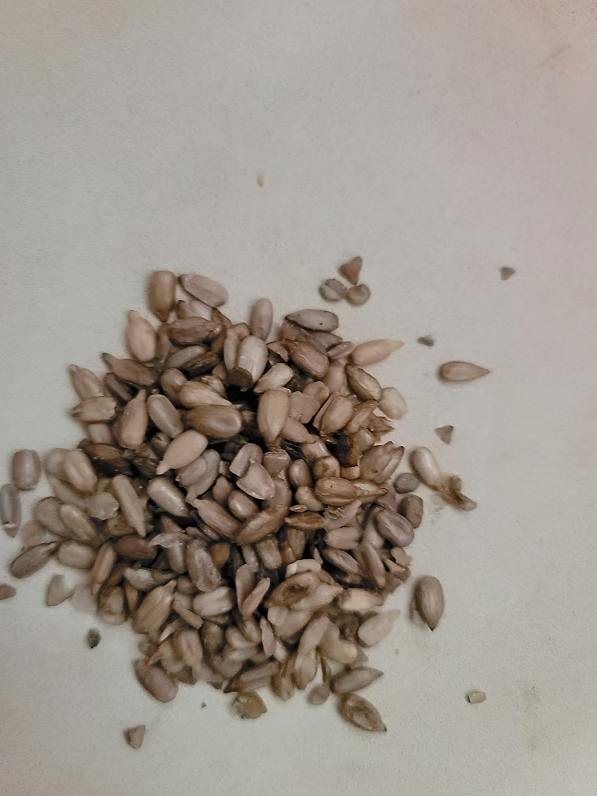 Food to Live Organic Sprouted Sunflower Seeds, 2 Pounds - Non-GMO, Kosher, No Shell, Unsalted, Raw Kernels, Vegan Superfood, Sirtfood, Bulk customer photo 2