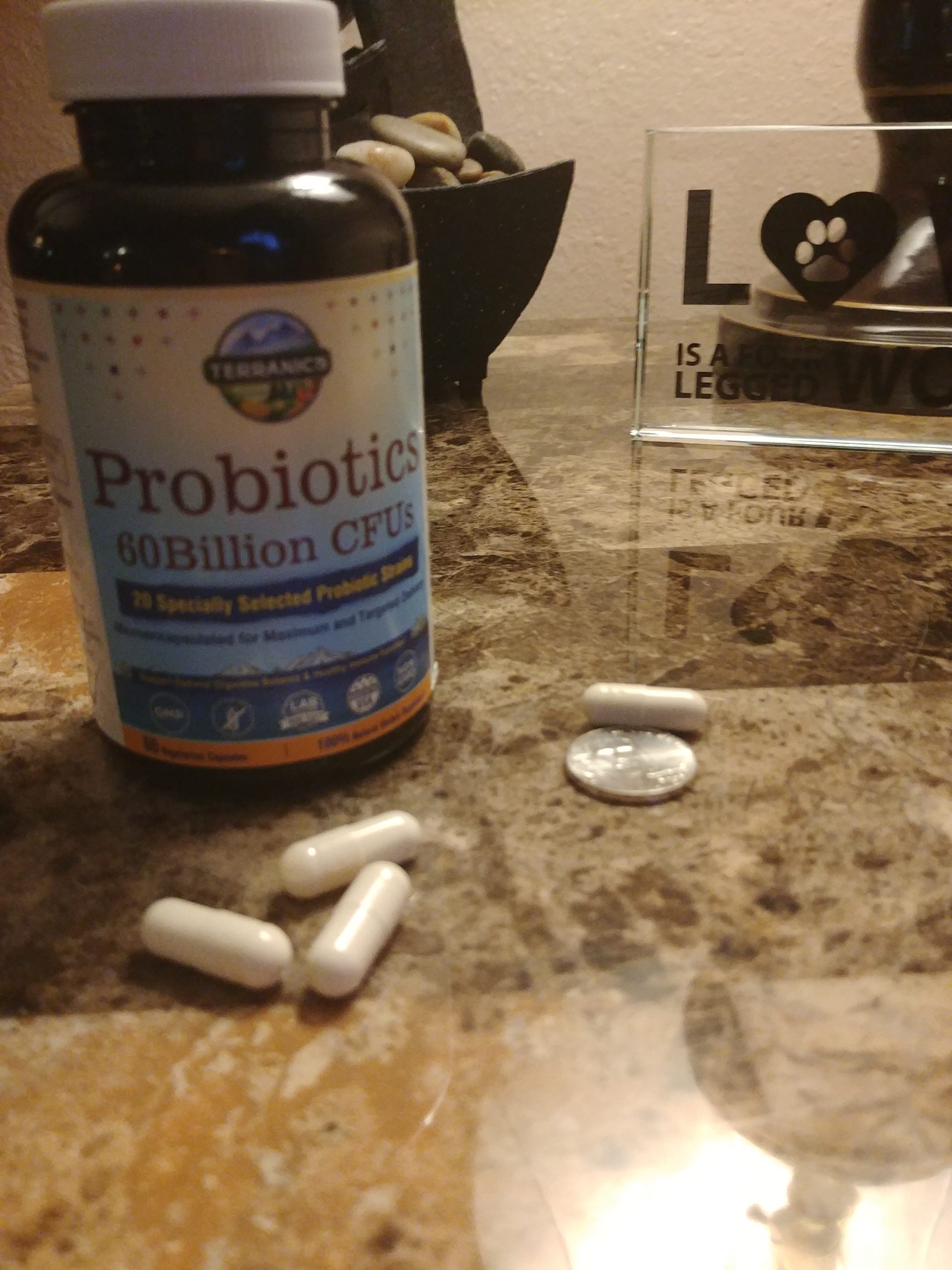 Terranics Probiotics 60 Billion CFU, 20 Strains, 60 Veg Capsules, Prebiotics & Probiotics, Shelf Stable Probiotic Supplement for Men & Women, Non-GMO, NO Soy, Dairy & Gluten customer photo 2