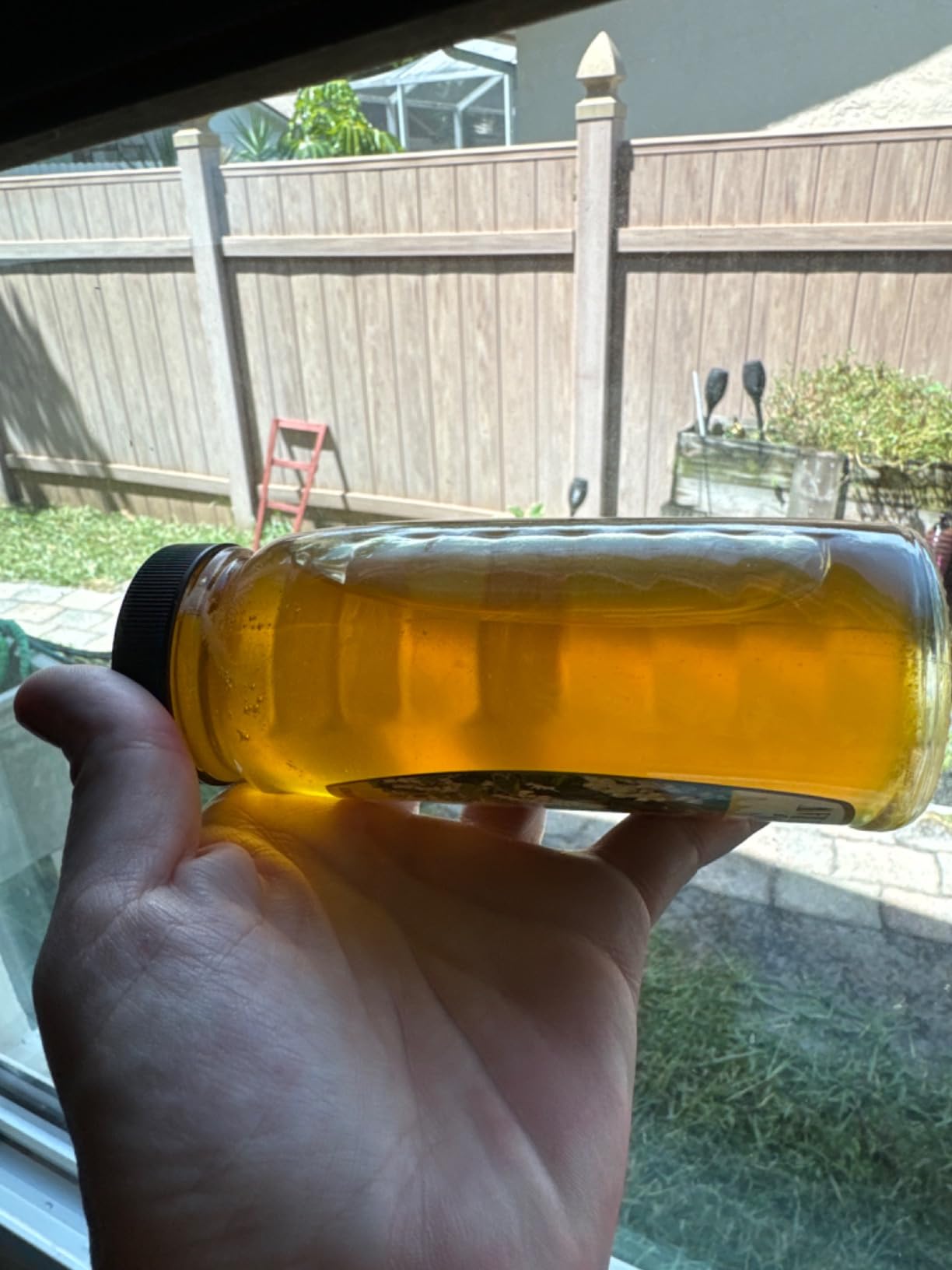 Goshen Amish Country Extremely Raw Pure Spring Honey - Unfiltered, Unprocessed, Pure & Natural - Harvested in the USA - Kosher Certified - 16oz Glass Jar customer photo 2