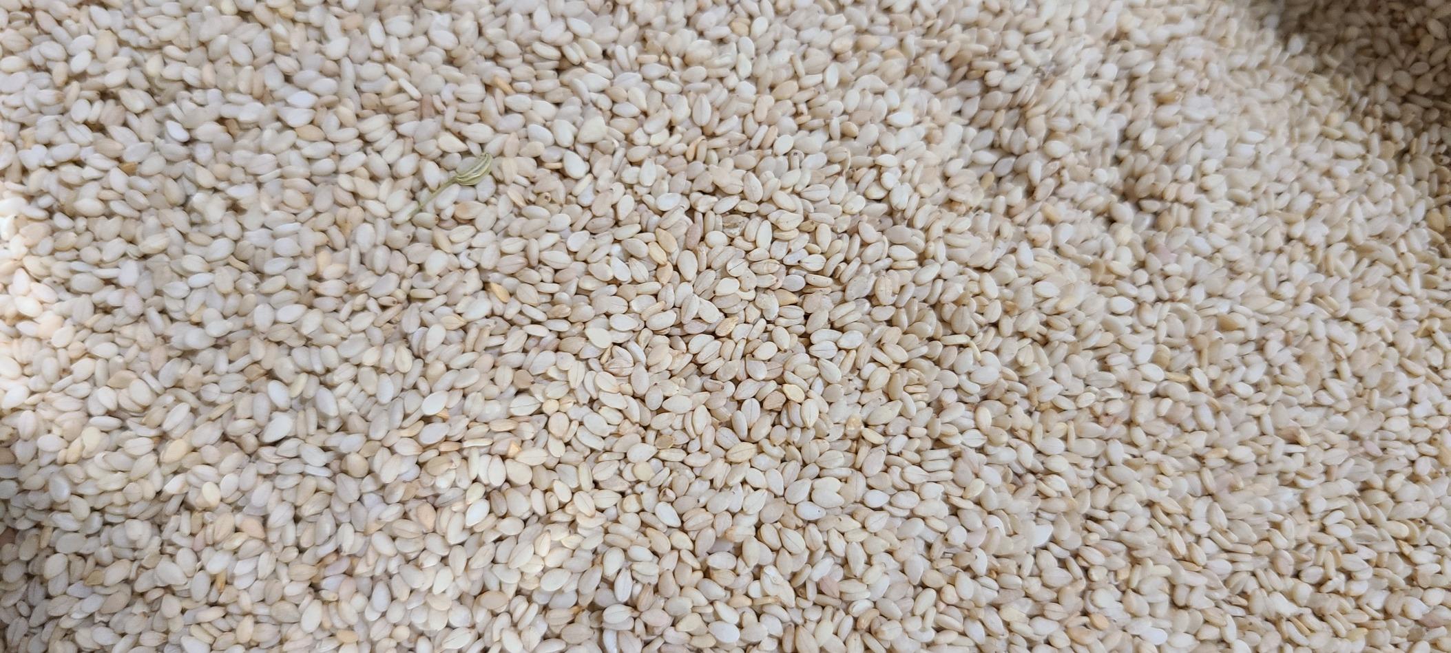 Jiva Organics Organic White Sesame Seeds 7ounce Bag - Hulled, Till, 100% Natural & Non-GMO (Pack of 1) customer photo 1