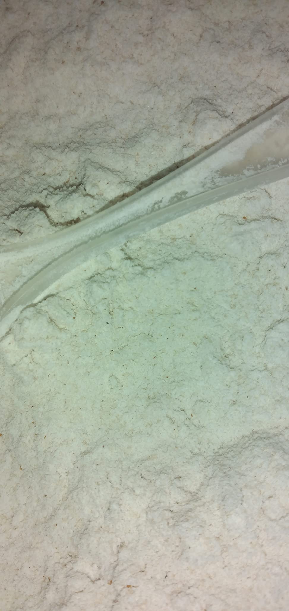Micro Ingredients Organic Triple Fiber Powder, 2lb | Natural Prebiotic to Support Digestive & Gut Health | Soluble, Easily Digestible | Unflavored, Vegan customer photo 2