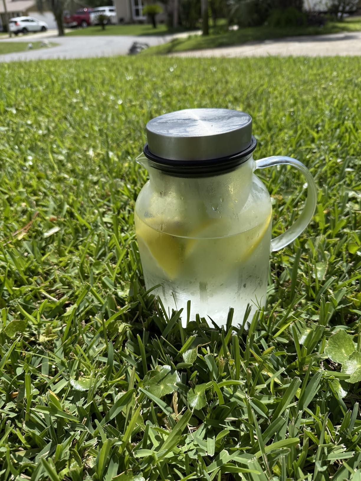Glass Water Pitcher, Fruit Infuser Pitcher with Removable Lid, High Heat Resistance Infusion Carafe for Hot/Cold Water, Flavor-Infused Beverage & Iced Tea - 2 Qt customer photo 2