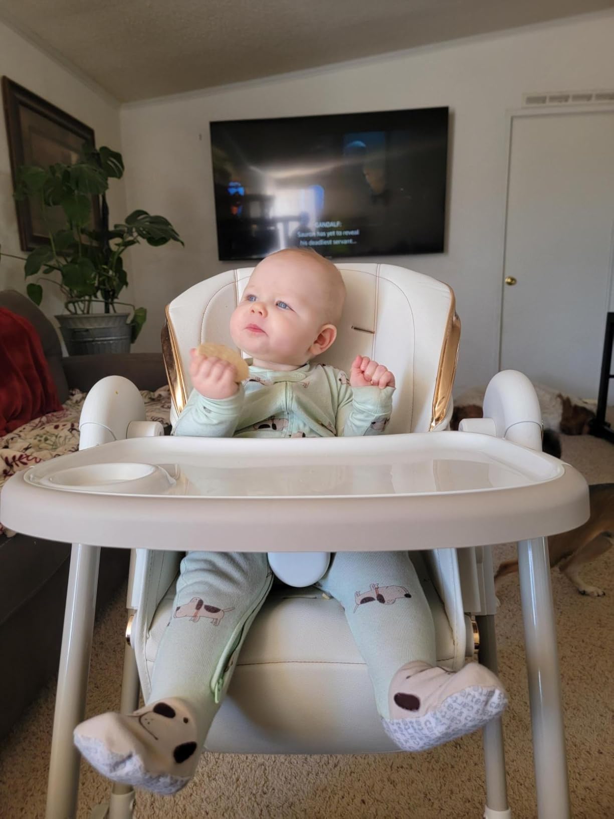 Serenity Kids 6+ Months Organic Baby Food Pouches - 5g Protein Nutrient-Packed Baby Puree Pouches - Organic Veggie-Rich Toddler Snack - On-the-Go Toddler Meals & Snack Pack - 8 Count, 3.5 Oz customer photo 2