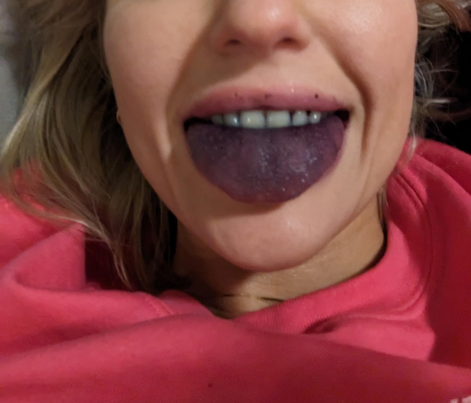 LOOV Wild Organic Dried Blueberries, No Added Sugar, 4 Ounces, Freeze Dried Blueberries Organic customer photo 1
