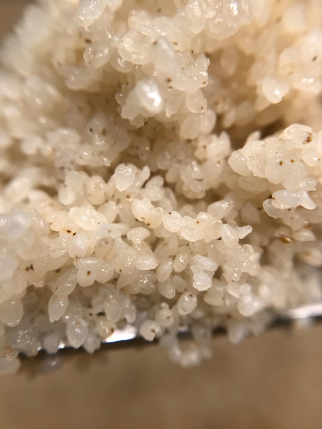 Shipetaukin Fonio African Supergrain: A Quick Cooking Whole Grain - Gluten Free - Vegan - Non GMO - Substitute for Bulgur, Rice, Couscous, Quinoa (28 Ounces) customer photo 2