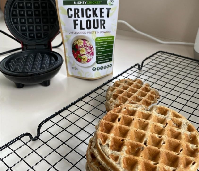 Mighty Cricket Protein Powder. 20g Clean Prebiotic Cricket Protein. No Sugar, Low Carbs, Gluten & Dairy Free. Keto & Paleo, 100% Natural Ingredients. Vanilla, 1 lb (Pack of 1) customer photo 2