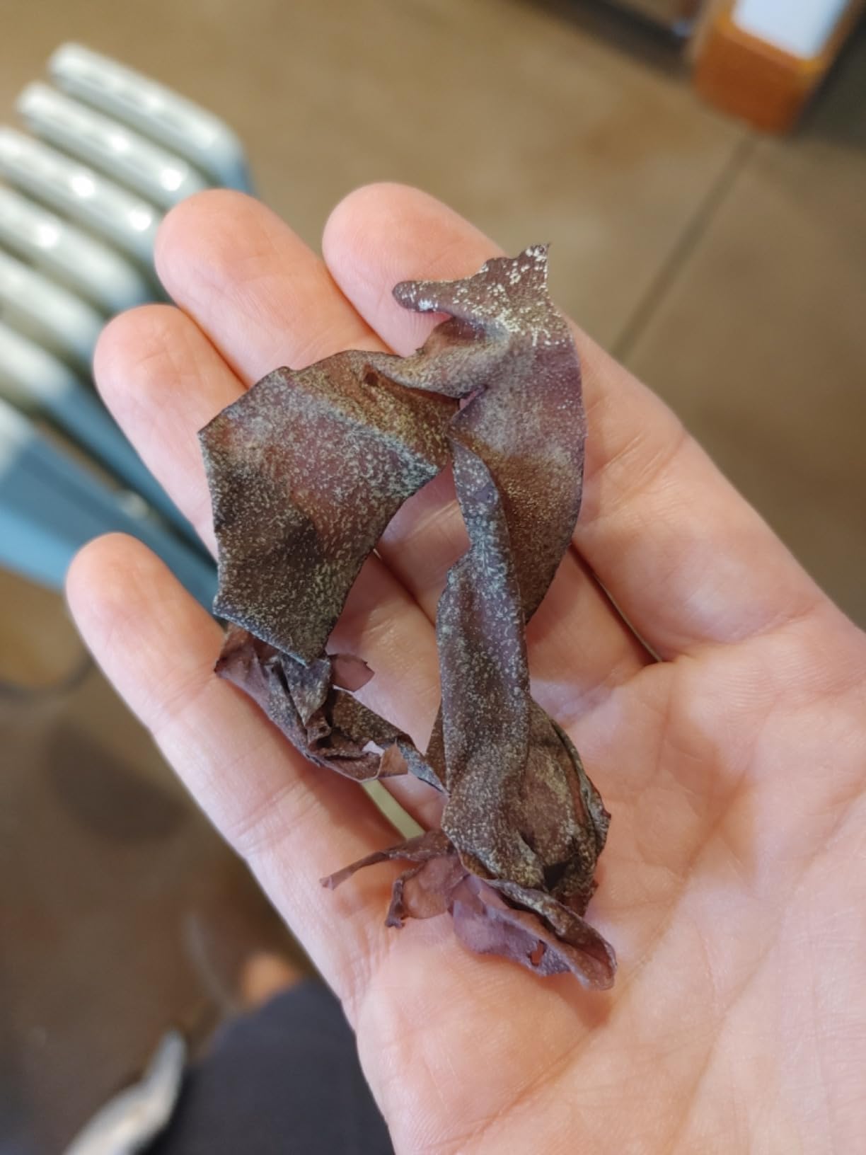Aqua Veggies Organic Atlantic Dulse Flakes Large 2 Oz, Hand-Harvested, Sun-Dried Bay of Fundy, Excellent Source of Vitamins B6, B12, Iron, Iodine, Protein, Calcium and Fibre (Dulse Flake 56 Grams) customer photo 2