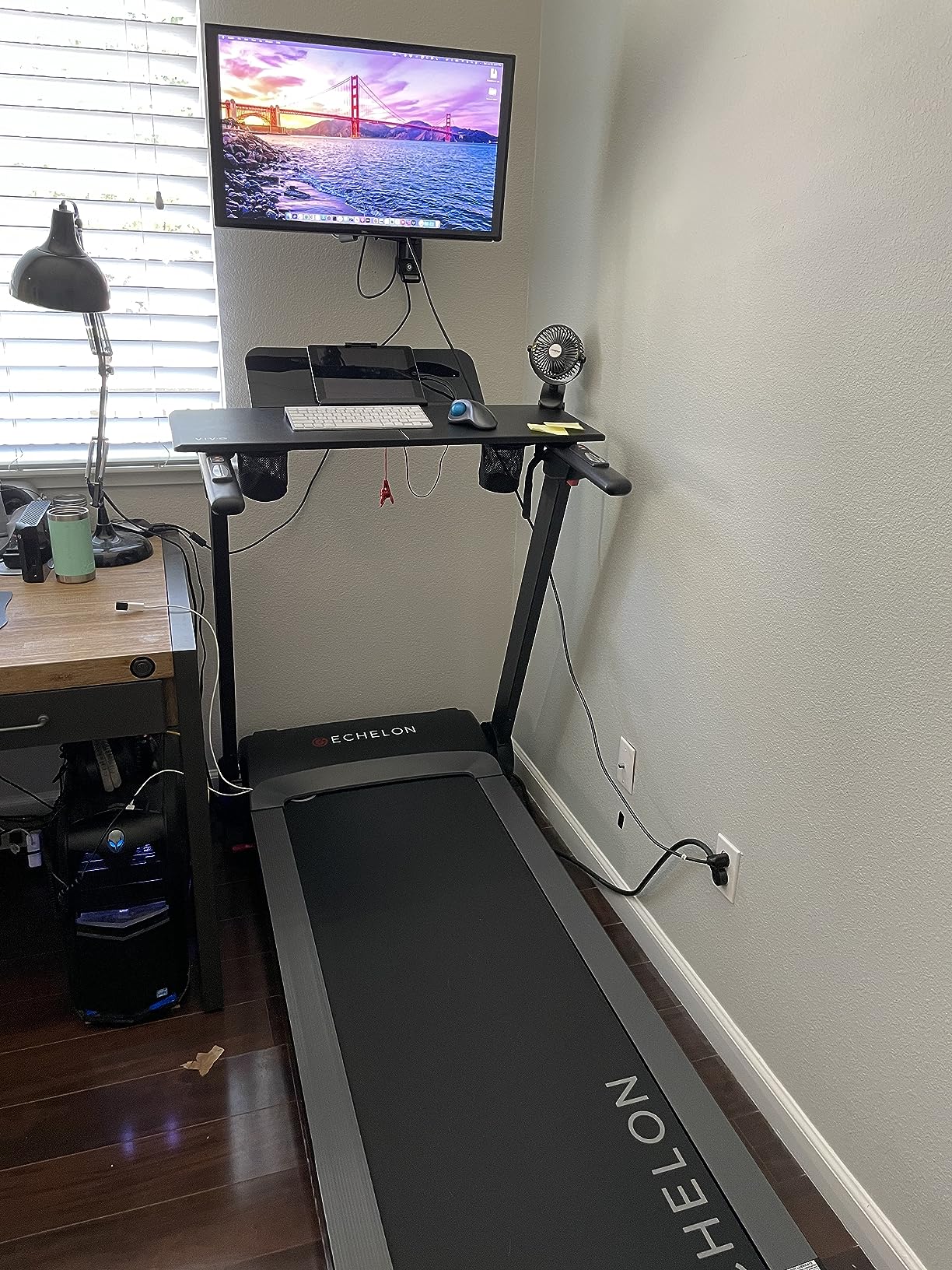 Echelon Stride Treadmill, Smart Foldable, 300 Lb Capacity, Motorized Incline, Air Cushioning Deck, USB Charging Port customer photo 1