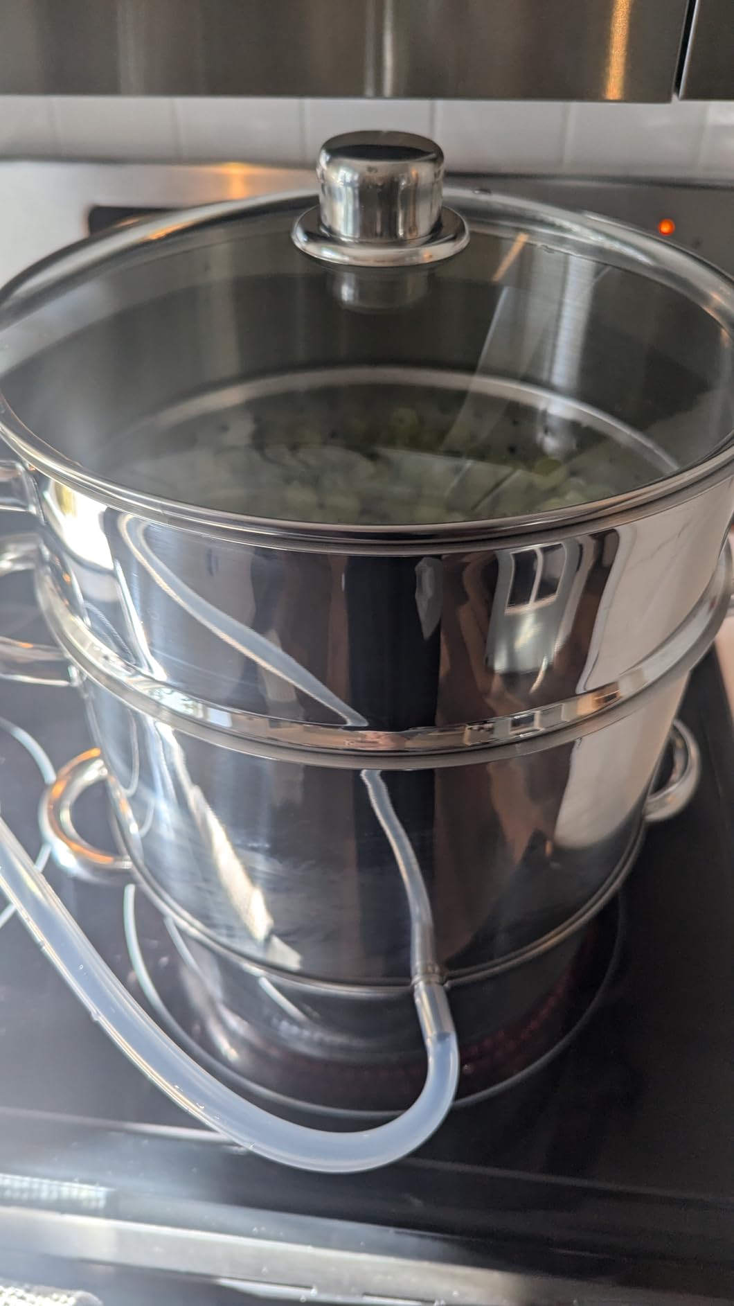 VIVOHOME Stainless Steel Steam Juicer Fruit Vegetables Juice Steamer Extractor Pot 27.5 cm 9.3 Qt with Tempered Glass Lid, 2 Hose, Clamp, Loop Handles customer photo 1
