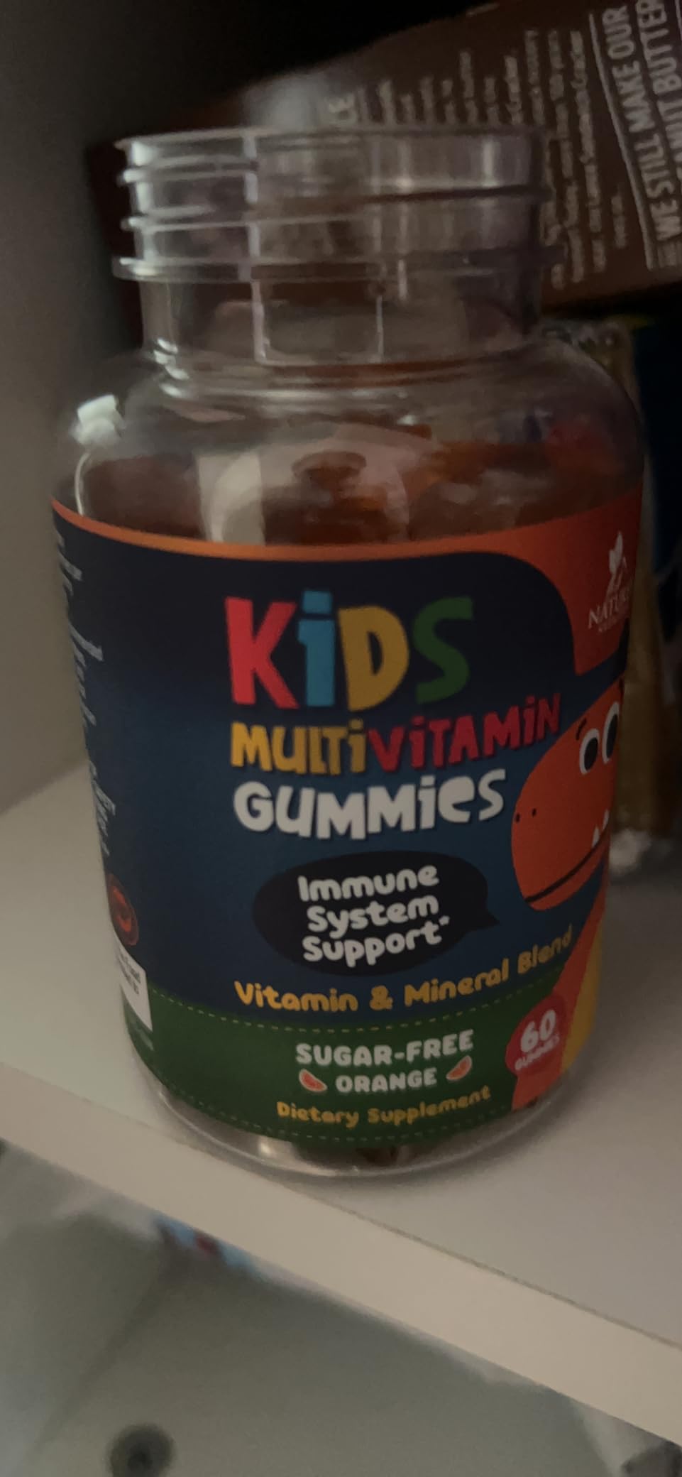 Kids Multivitamin Gummies - Sugar Free - Tasty Orange Flavor Gummy - Daily Immune Support with 100% Vitamin B12 - Essential Vitamins A, C, D3, E, B6, & Zinc Kid's Multivitamin - Non-GMO - 60 Gummies customer photo 1