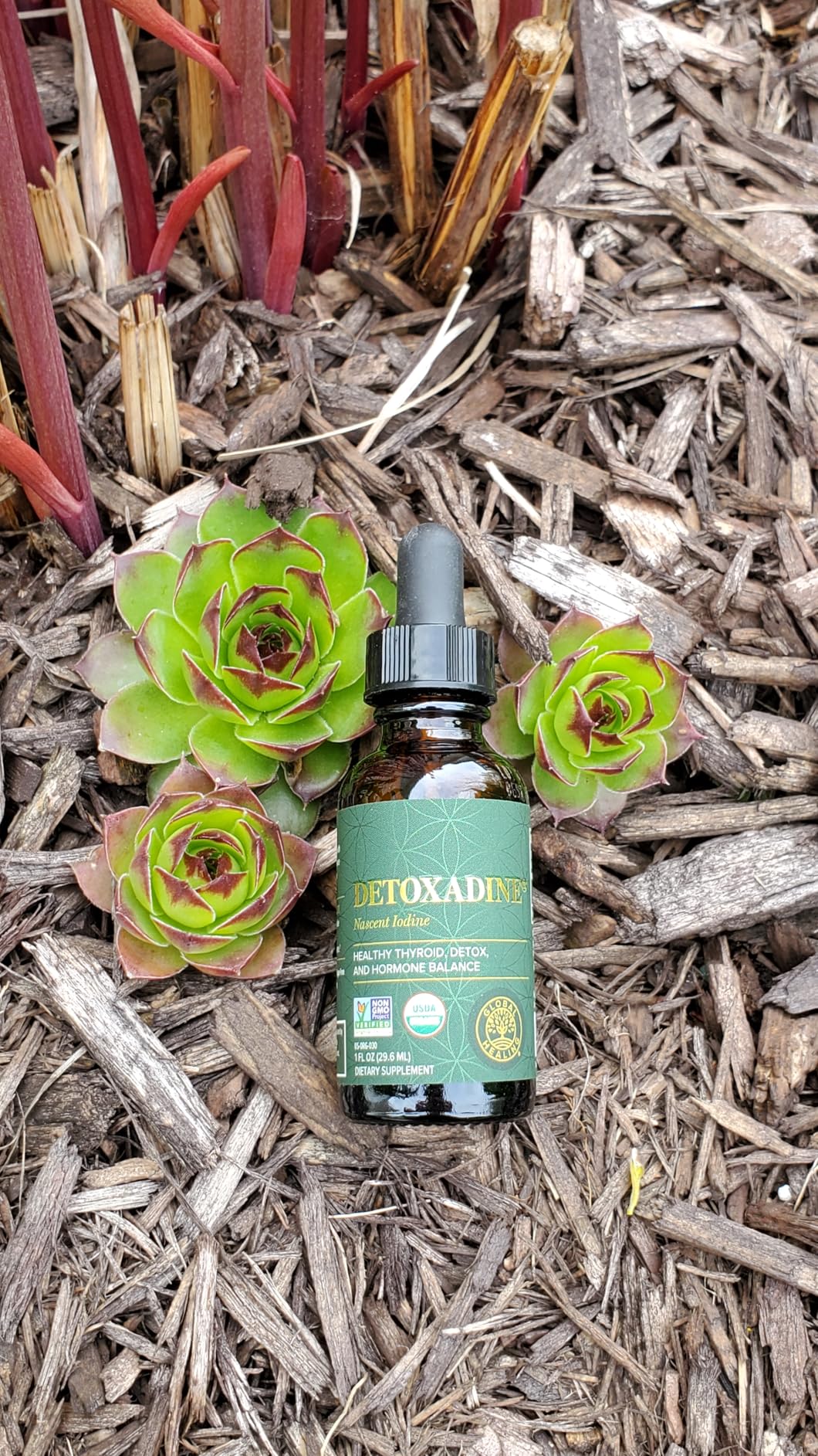 Global Healing USDA Organic Elderberry & Echinacea Liquid Supplement Tincture | Antioxidant Immune Support Against Harmful Organisms for Adults and Kids, Vegan, Non-GMO, 1-Month Supply (2 Oz) customer photo 1